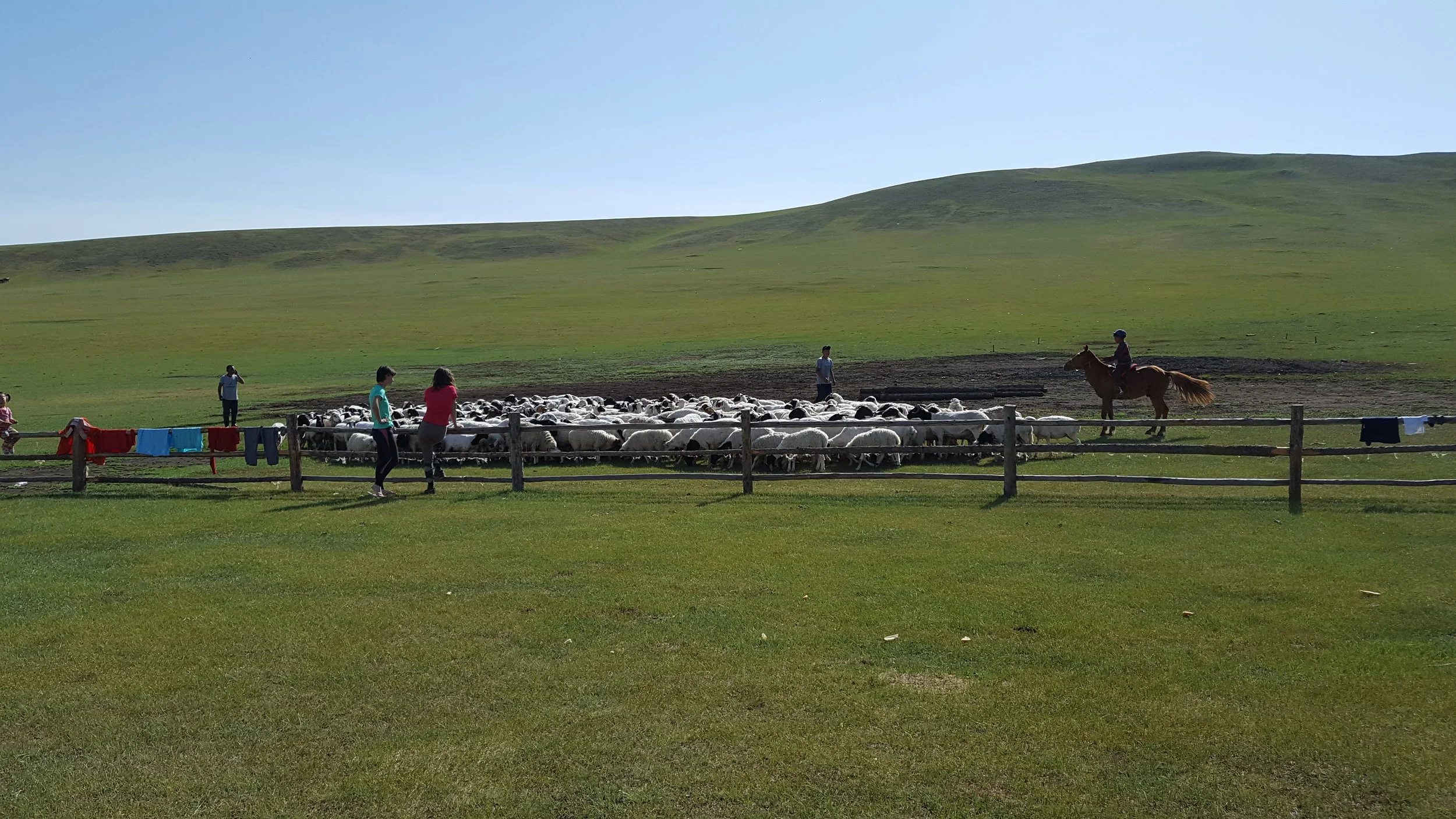 The fence is to keep the livestock out rather than in