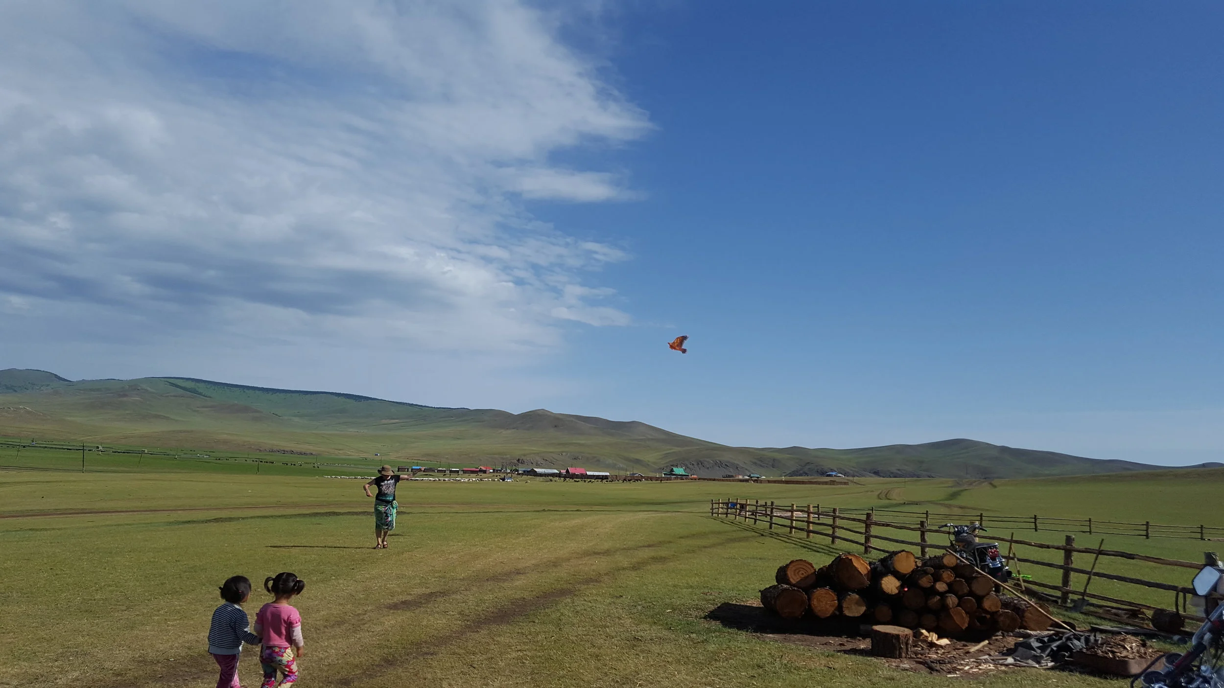 Flying a kite with the children