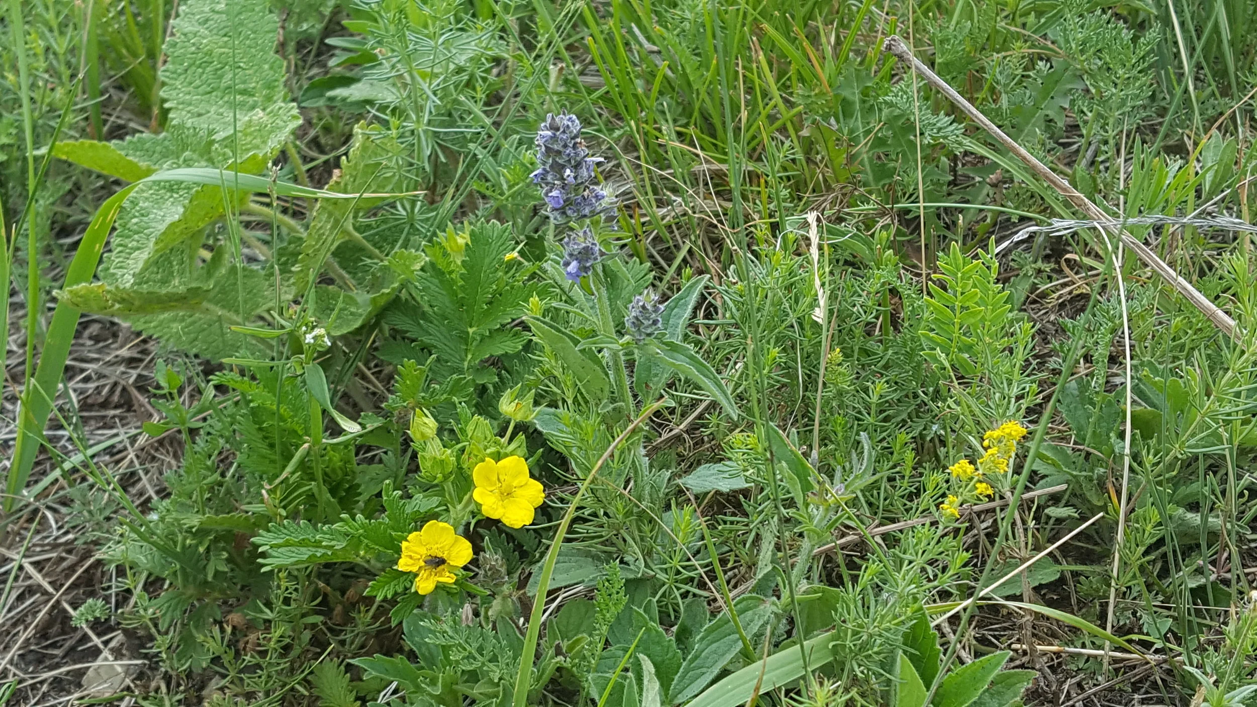 20170703_121048.jpg
