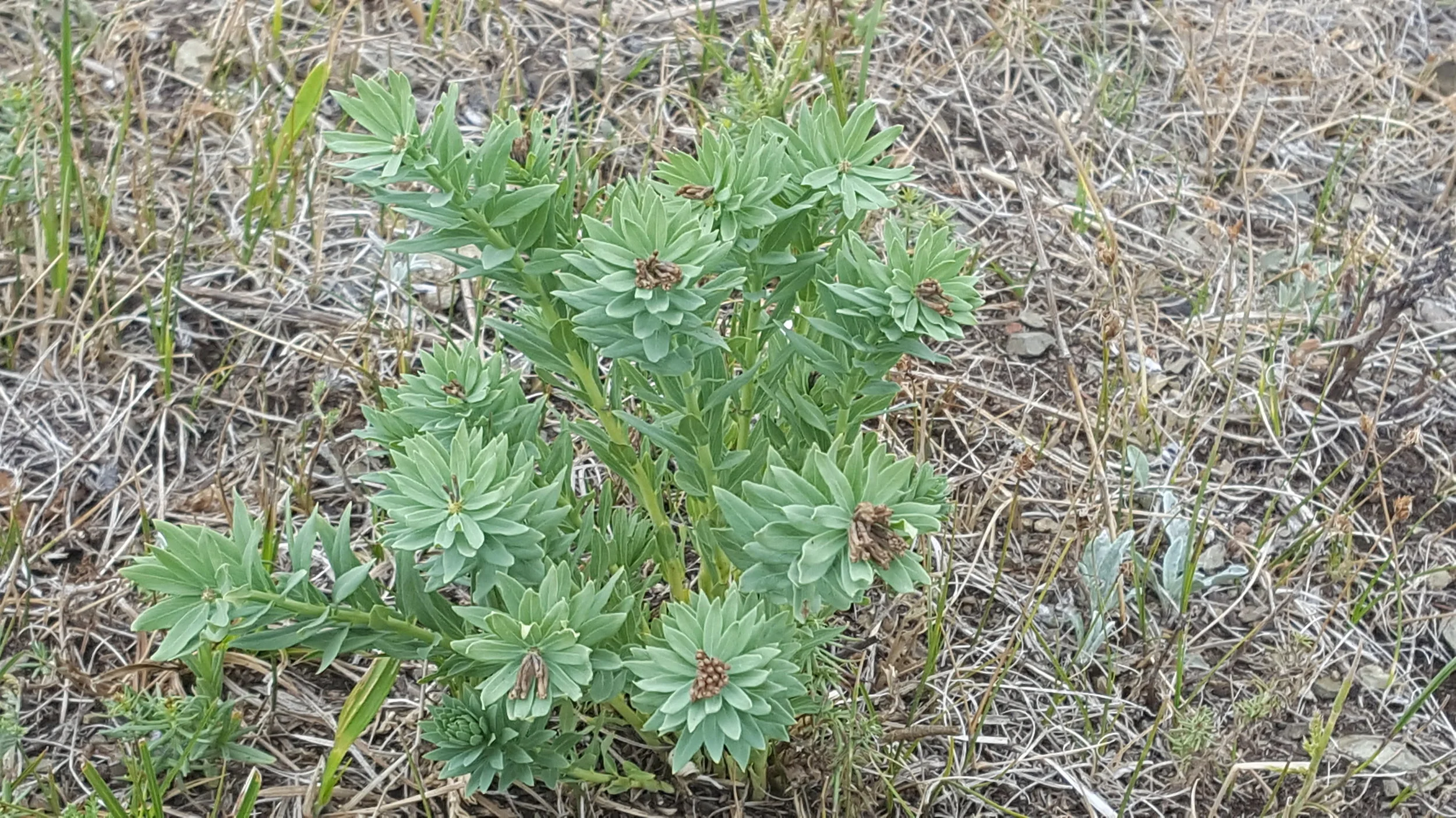 20170703_121132.jpg