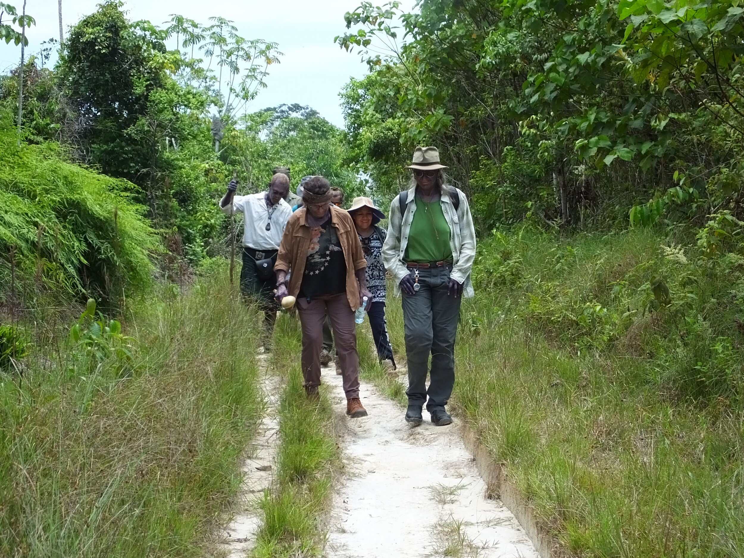 Approaching the jungle trail