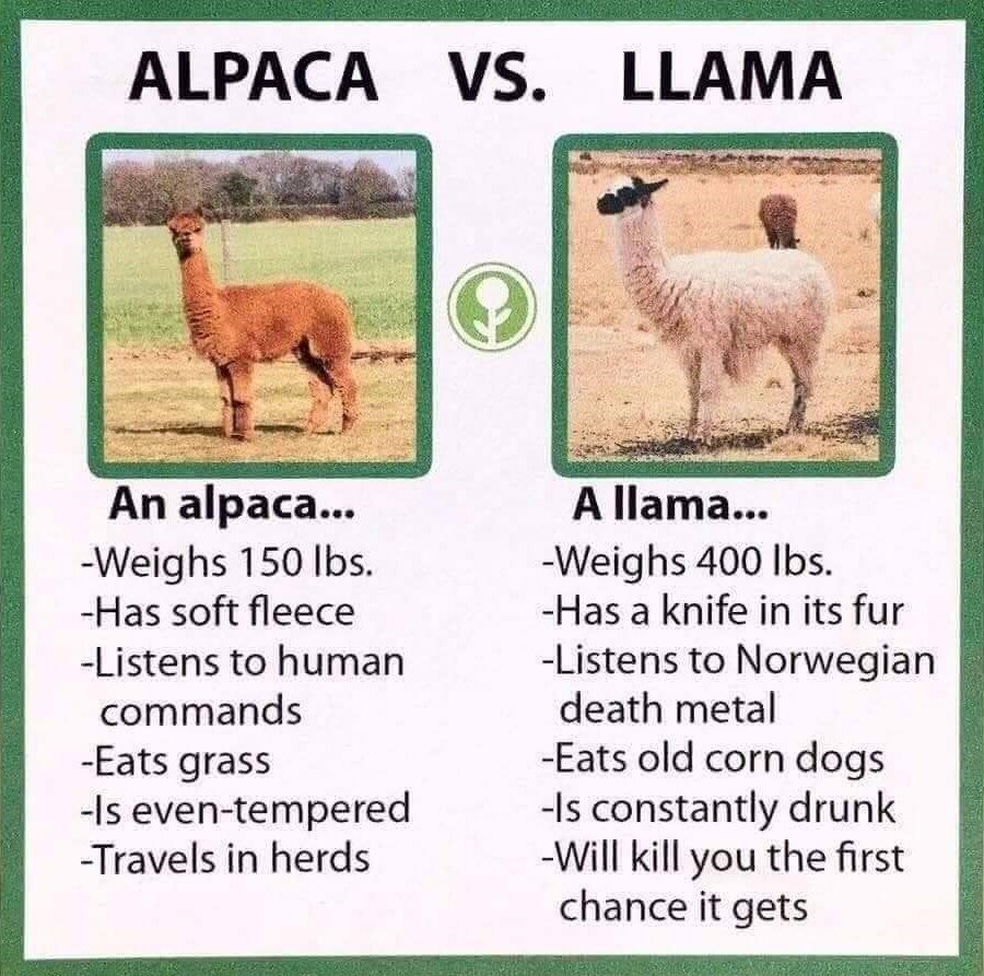Alpaca vs Llama.jpg