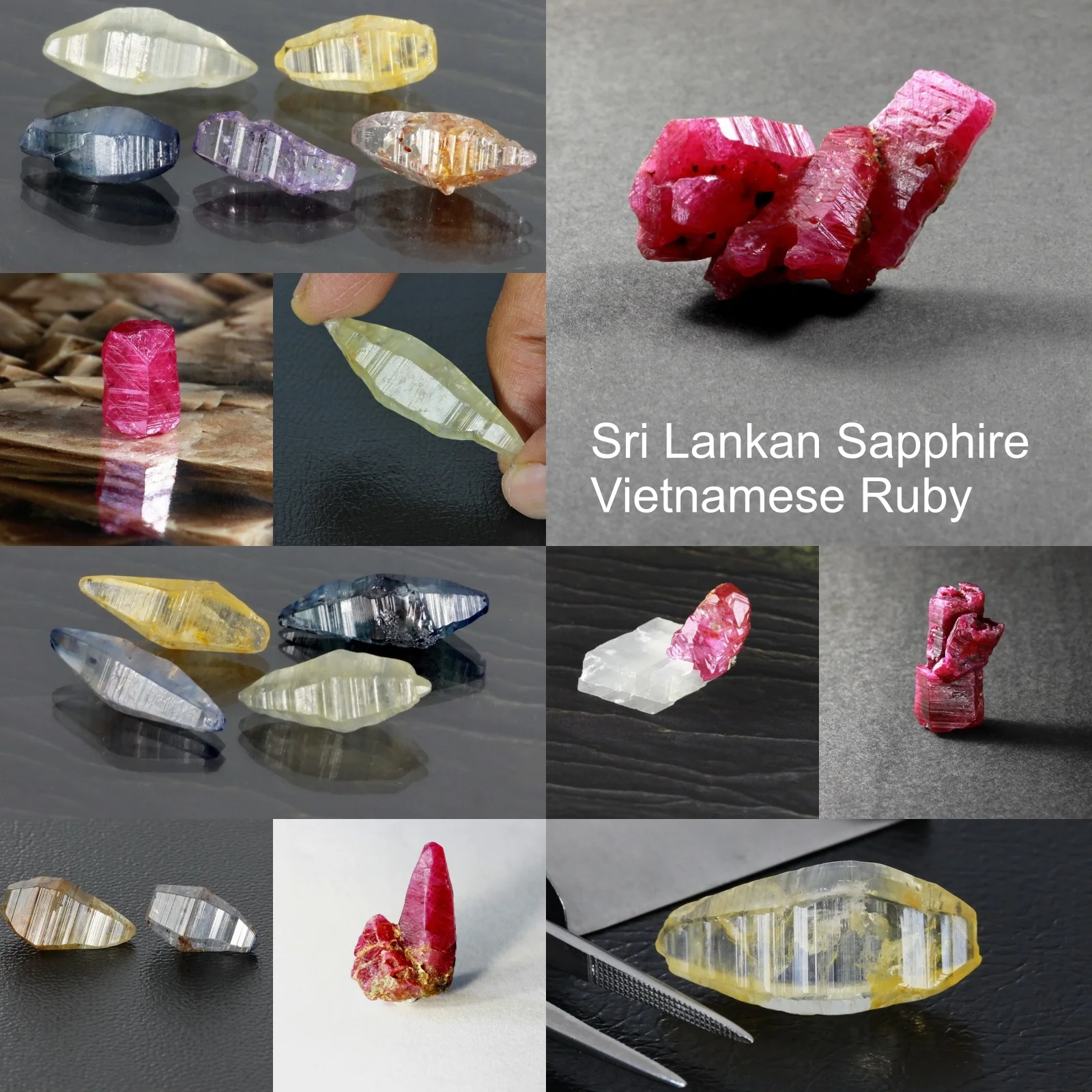 collage Jan 2017 Sap ruby xls.jpg