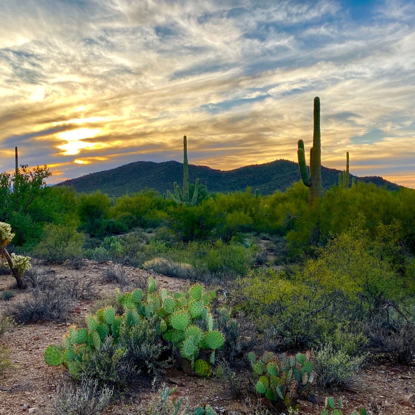 Tucson GJX Show 2023 (Gem & Jewelry Exchange)