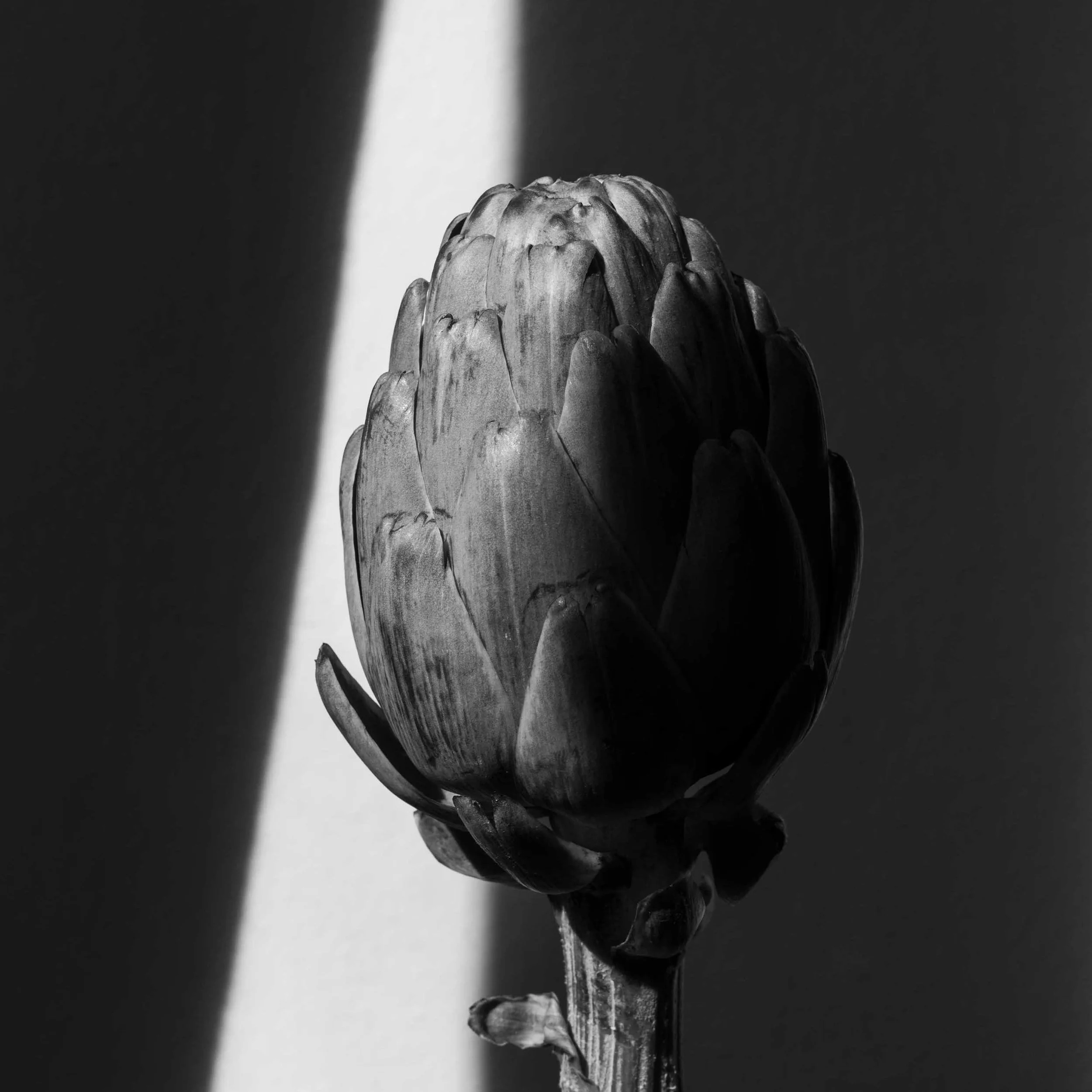 print square 1 copy.jpg
