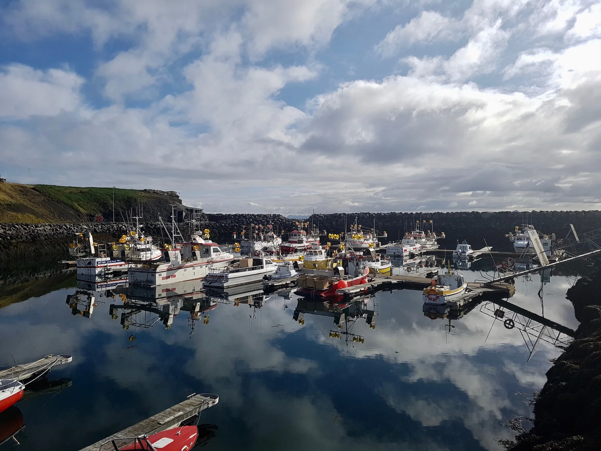 ViewHarbour.jpg