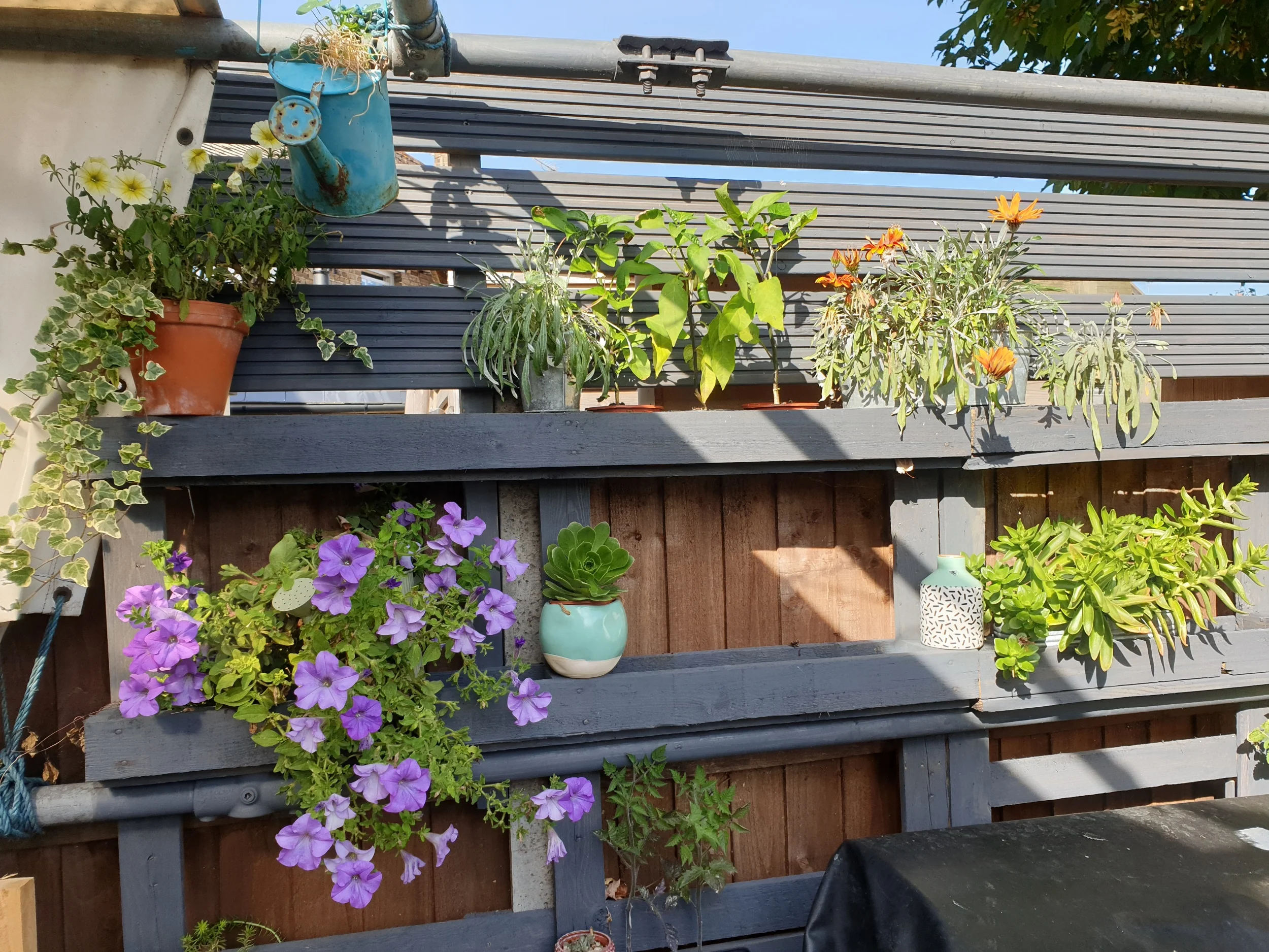 processed_20190905_161651.jpg
