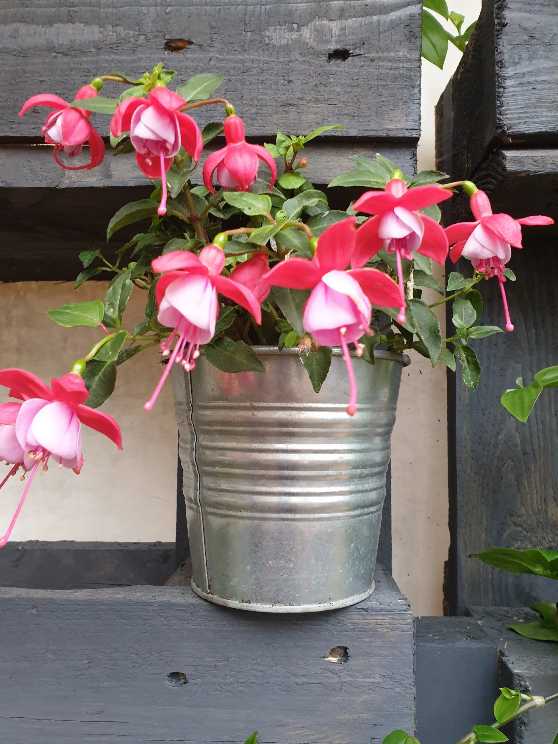 processed_20190814_134052.jpg