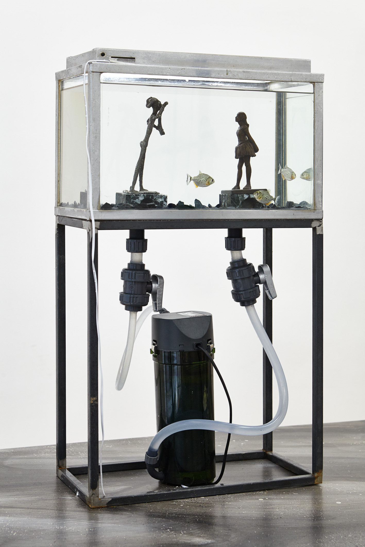  Thomas Mailaender,  Fish Museum#4 , 2017. Aquarium, métal, verre, 60 cm x 40 cm x 25 cm 