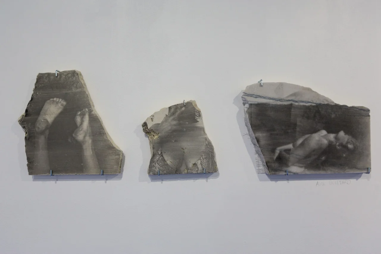 Vue d'ensemble des oeuvres d'Alice Guittard (de g. à d. Le Loup , émulsion photosensible sur pierre, 23 cm x 23 cm x 2,5 cm, Sunneva , émulsion photosensible sur pierre, 15,5 cm x 17 cm x 2,5 cm, Chloé au Prado , émulsion photosensible sur pierre, 29,5 cm x 21 cm x 2,5 cm), 2017