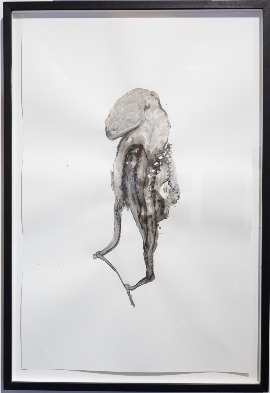  Douglas White,  Octopus 5 , 2016. Encre sur papier, 110 cm x 75 cm 