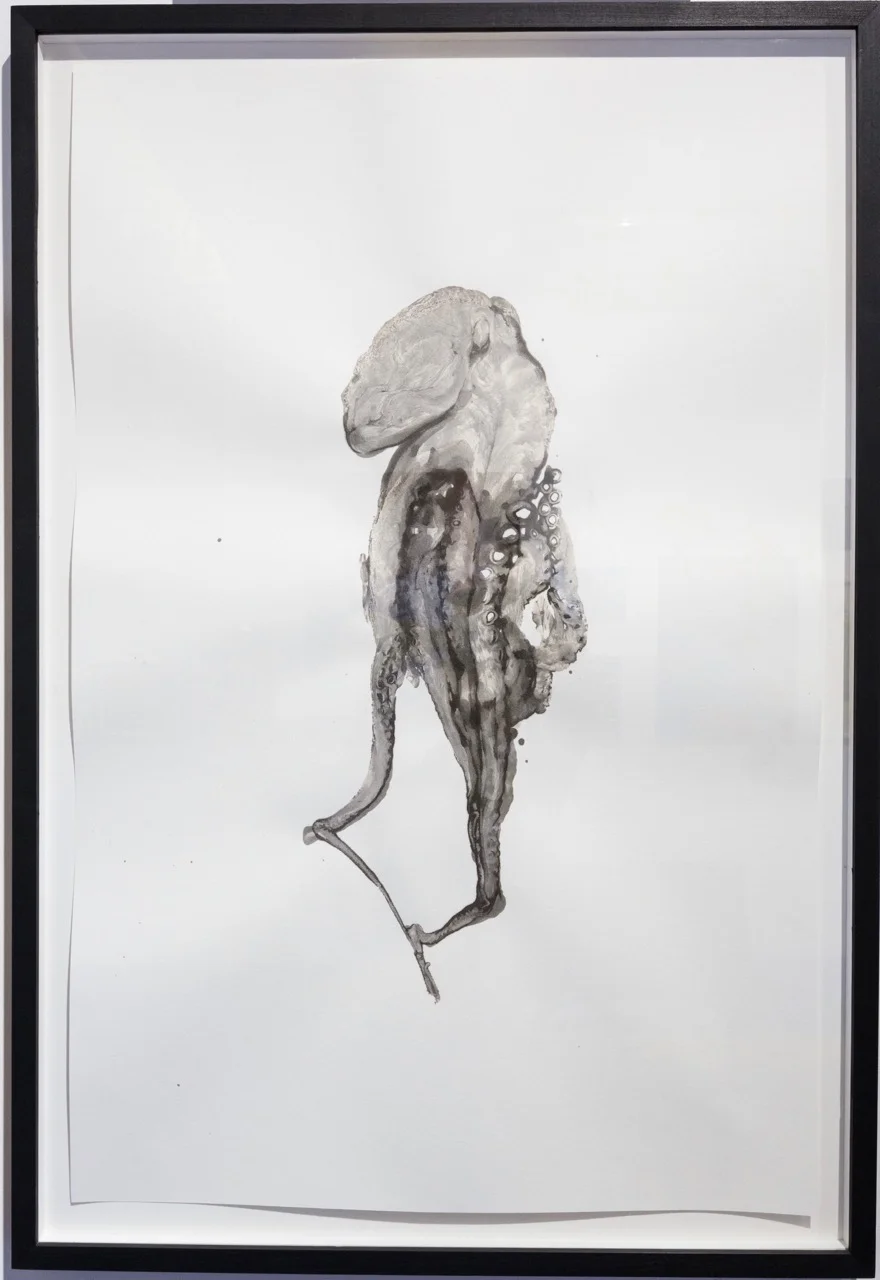Douglas White, Octopus 5 , 2016. Encre sur papier, 110 cm x 75 cm