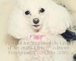 FILAF2019_Alice+Guittard_Double+V+Gallery_Marseille