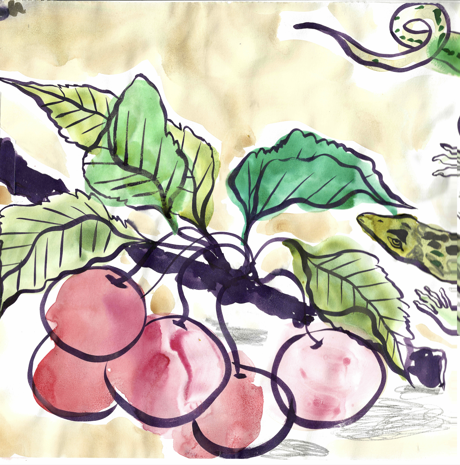 Camille Chastand_Lezard_Double_V_Gallery_2026_web.png