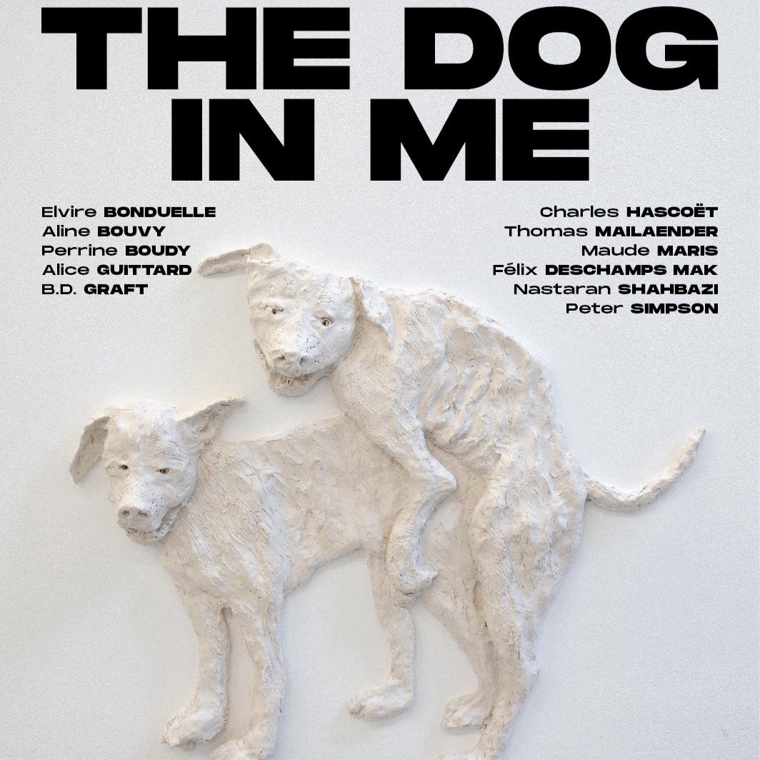 DOG-10.jpg