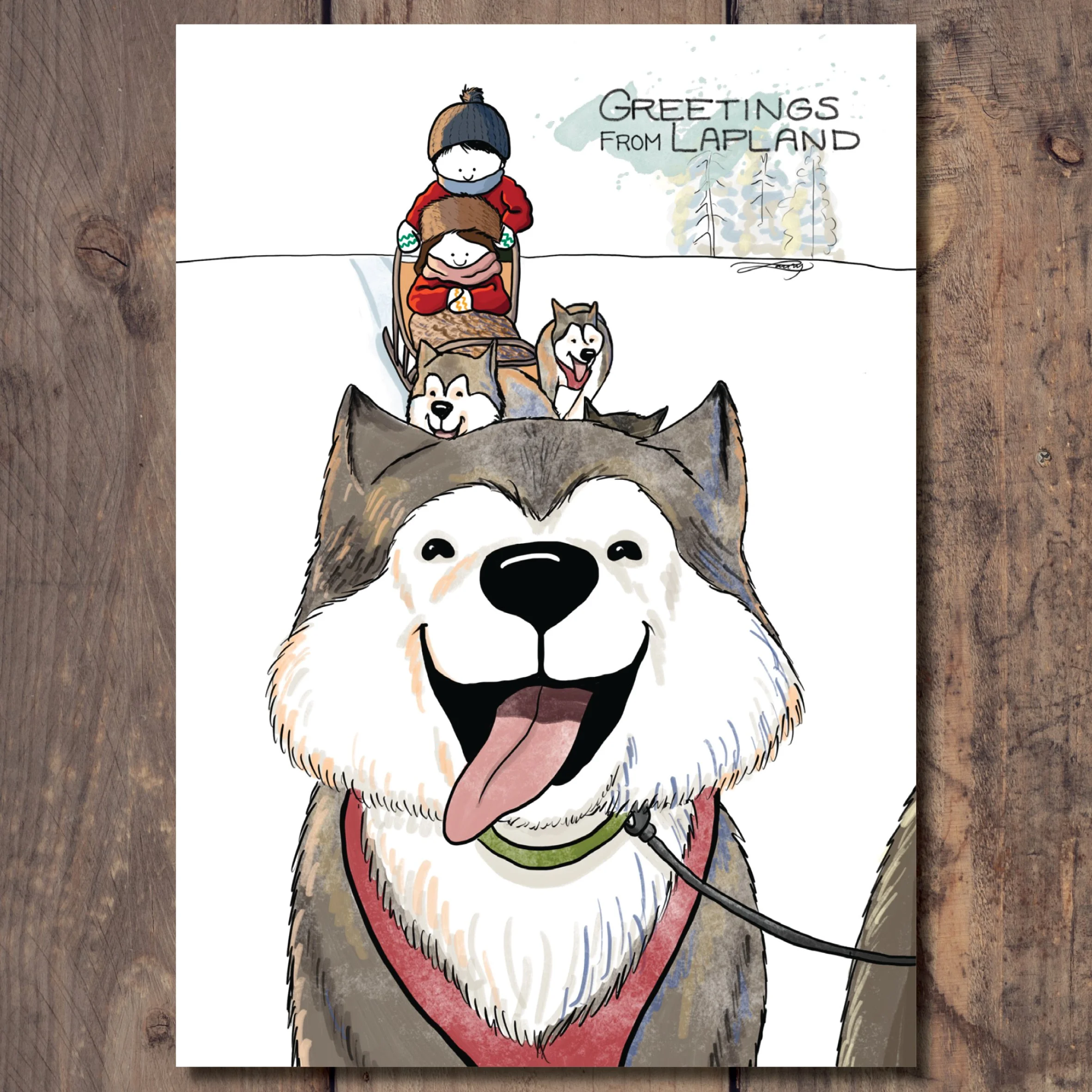 Husky ride in Lapland (eng)