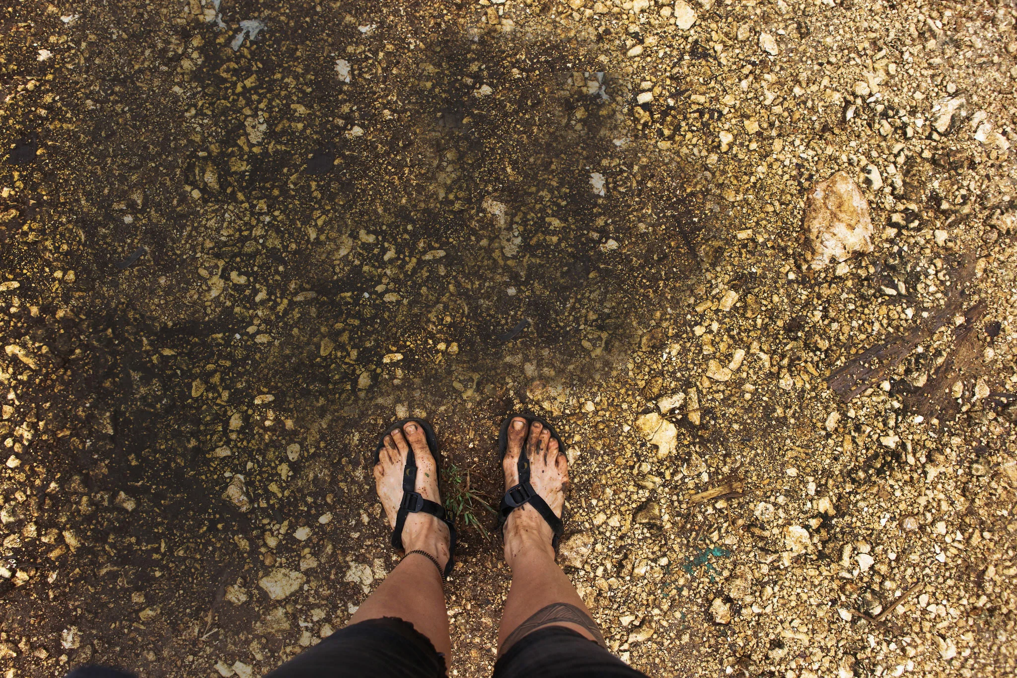 feet.jpg