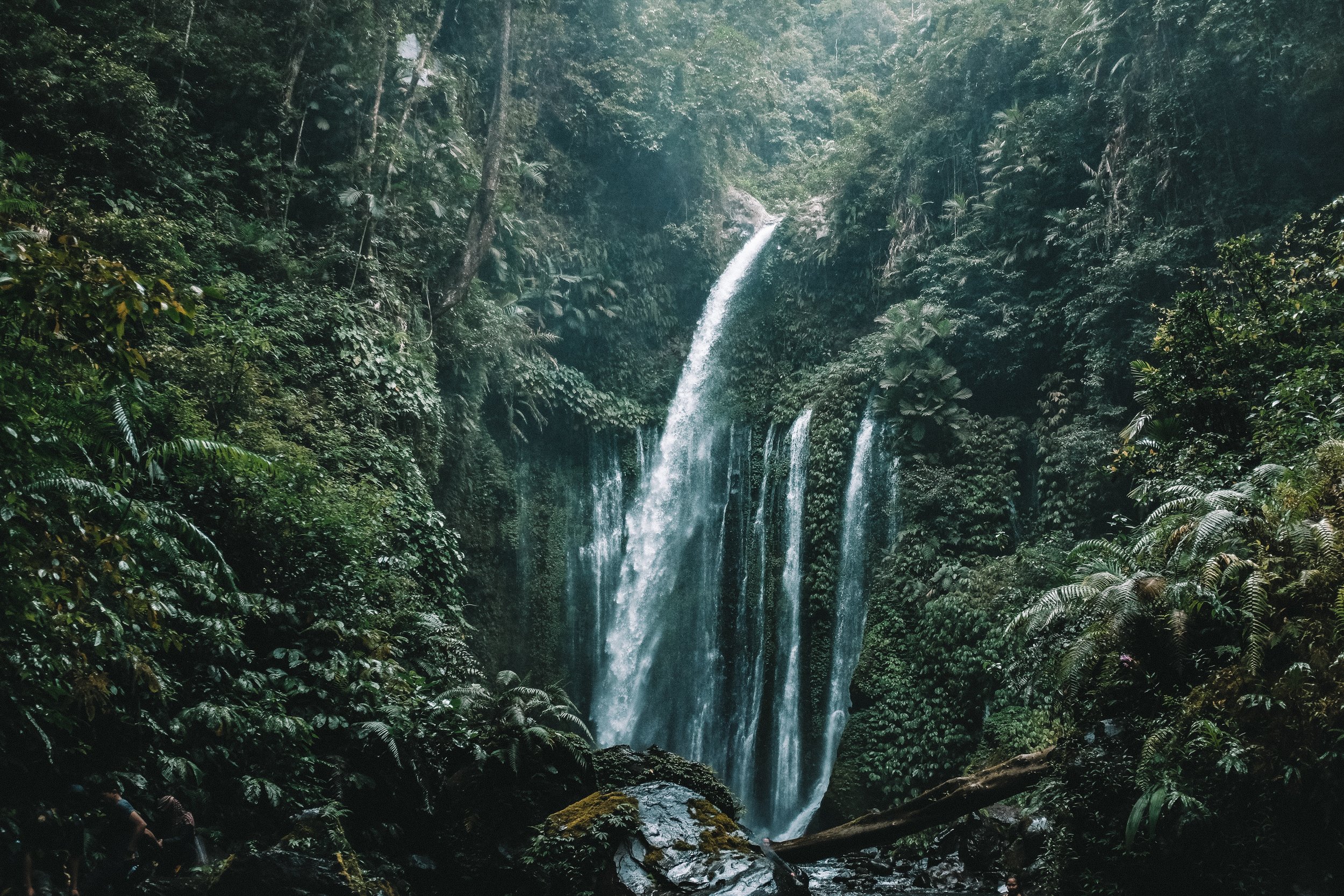 Swim at secret waterfalls in the jungle