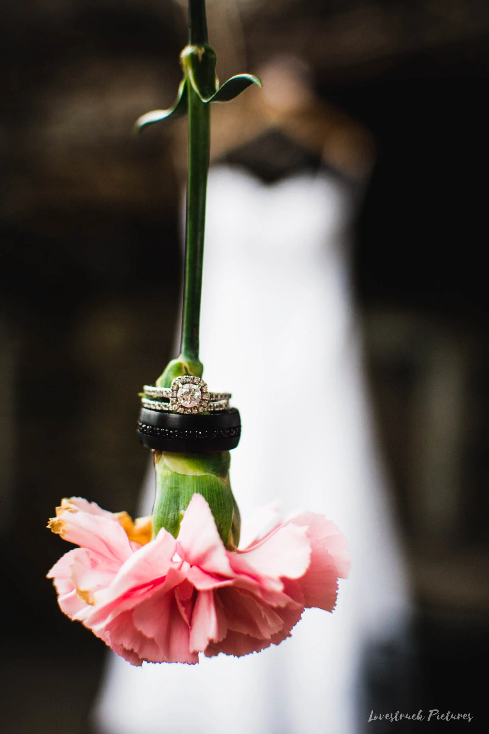 LOVESTRUCK PICTURES WEDDING PHOTOGRAPHY PHILADELPHIA -013.jpg