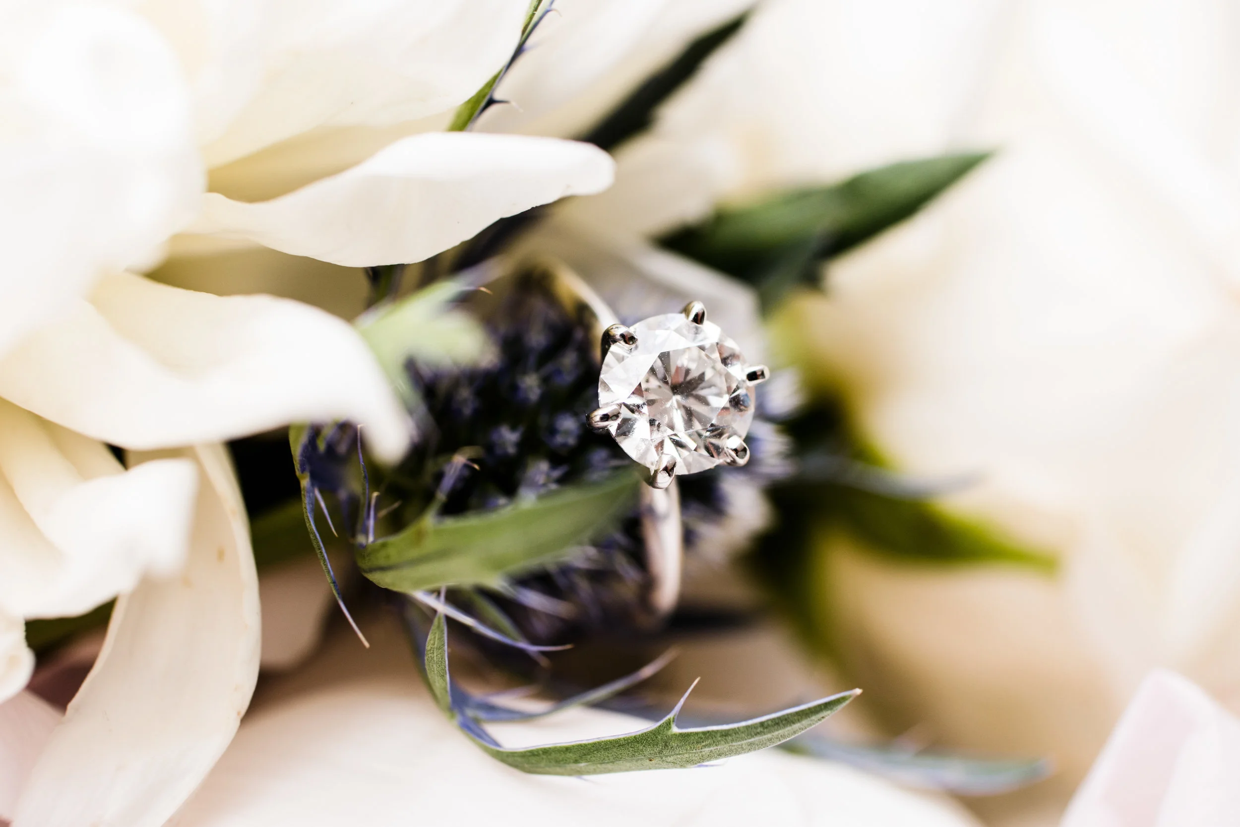 ICONA GOLDEN INN AVALON NJ WEDDING PHOTOGRAPHY - 060.jpg