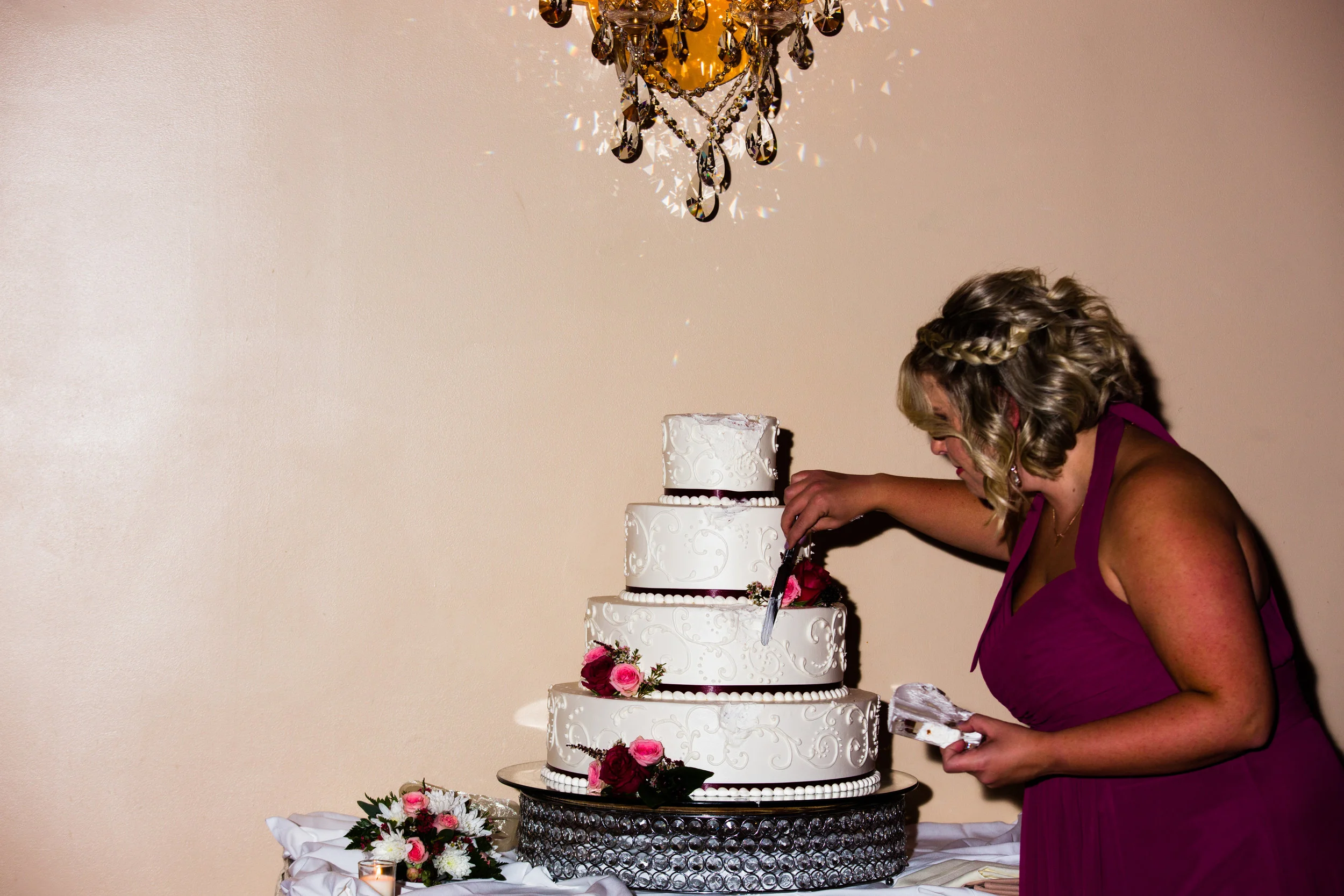 Luciens Manor Wedding Photos - 101.jpg