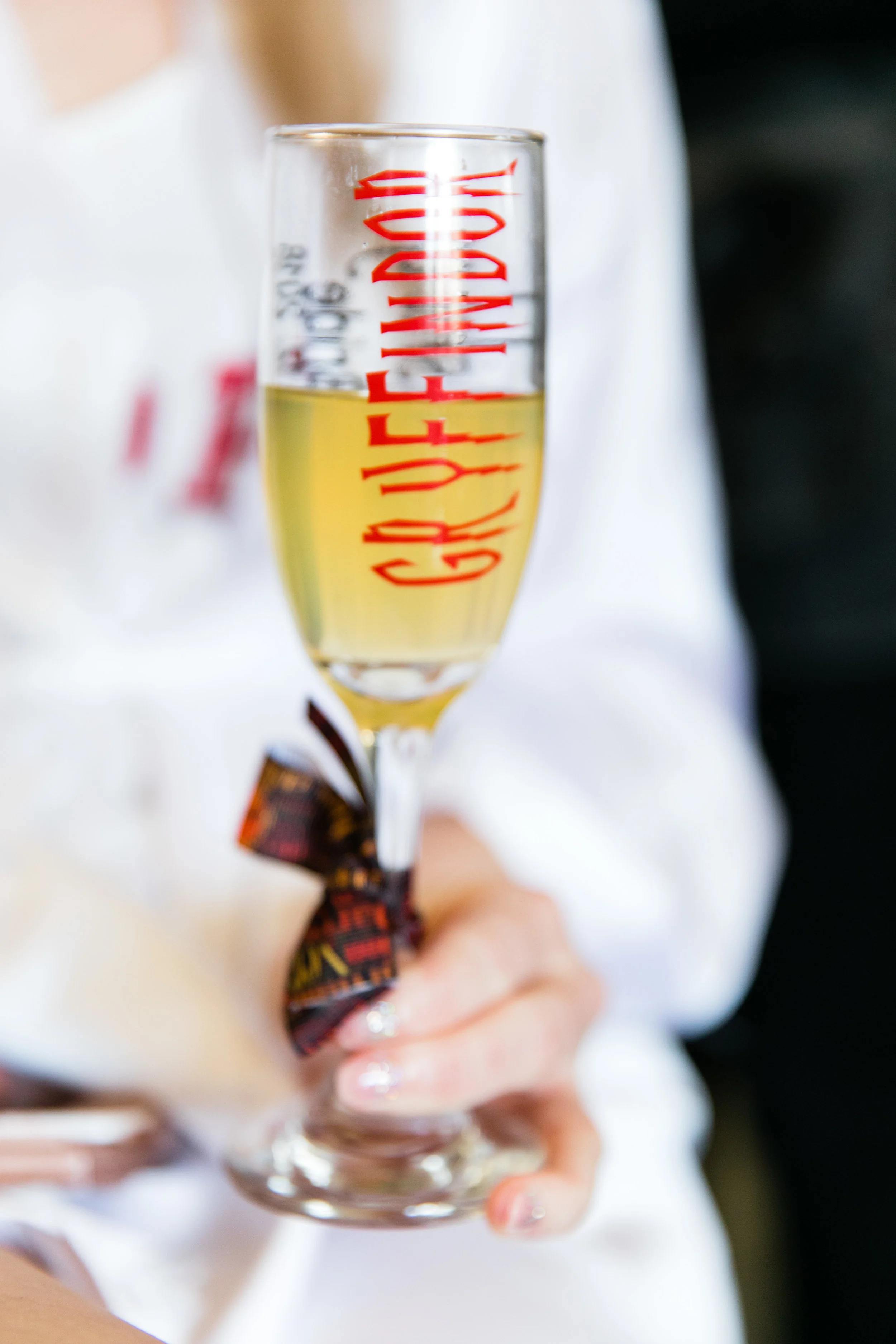 Ashly and Joe - Felt Factory Wedding - Harry Potter Themed Wedding - 001.jpg