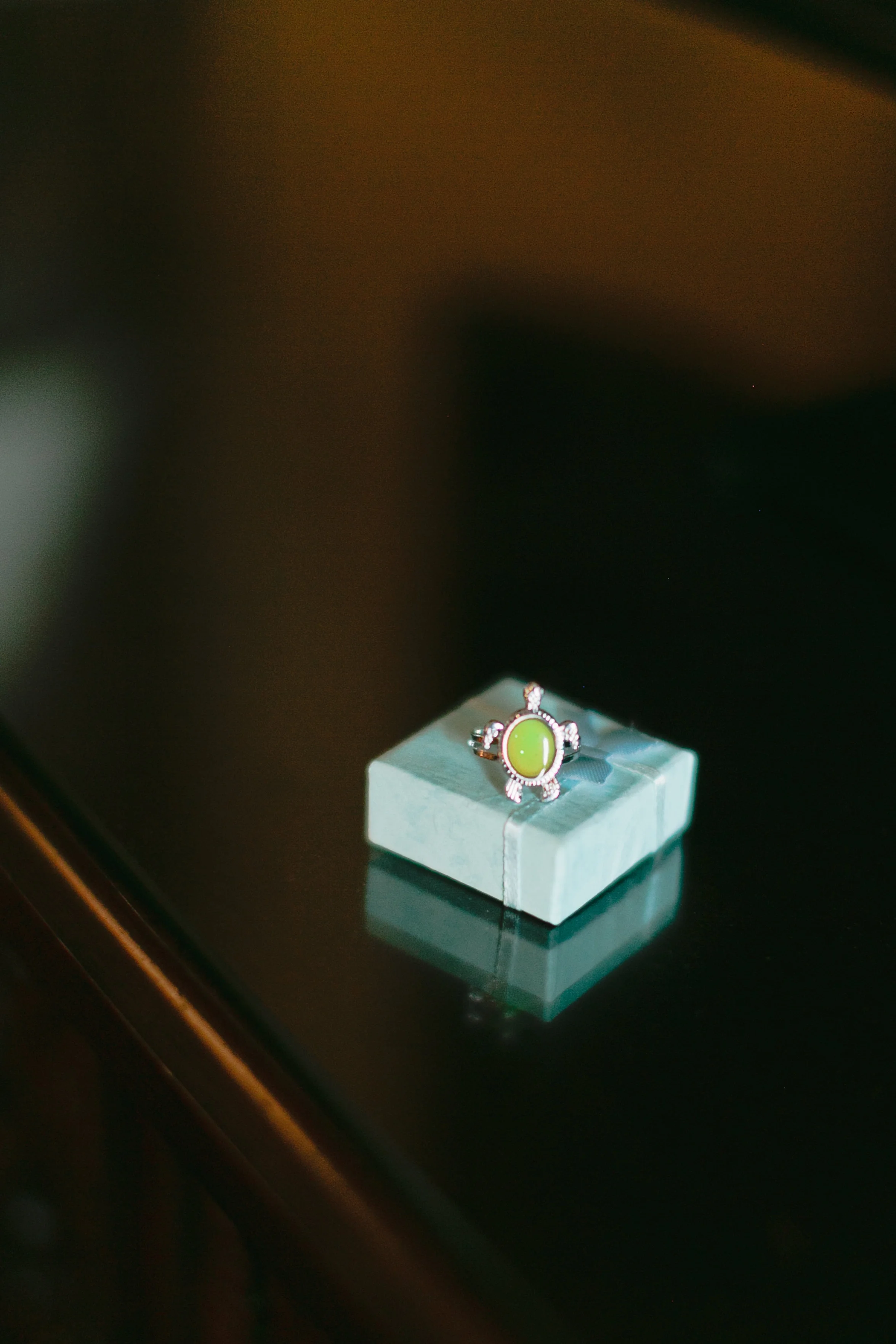 Fleury_MBP-3439.jpg