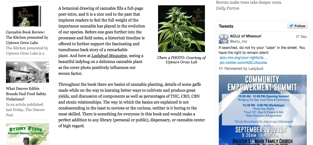 Ladybud Review