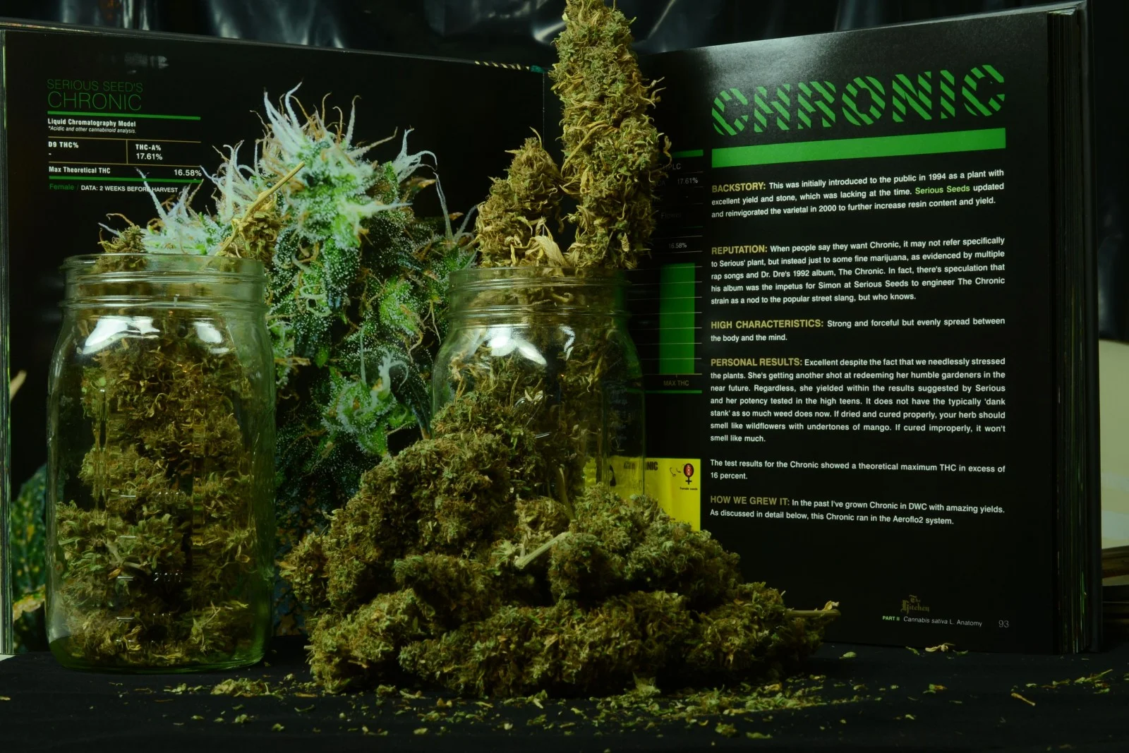 Chronic x Chronic