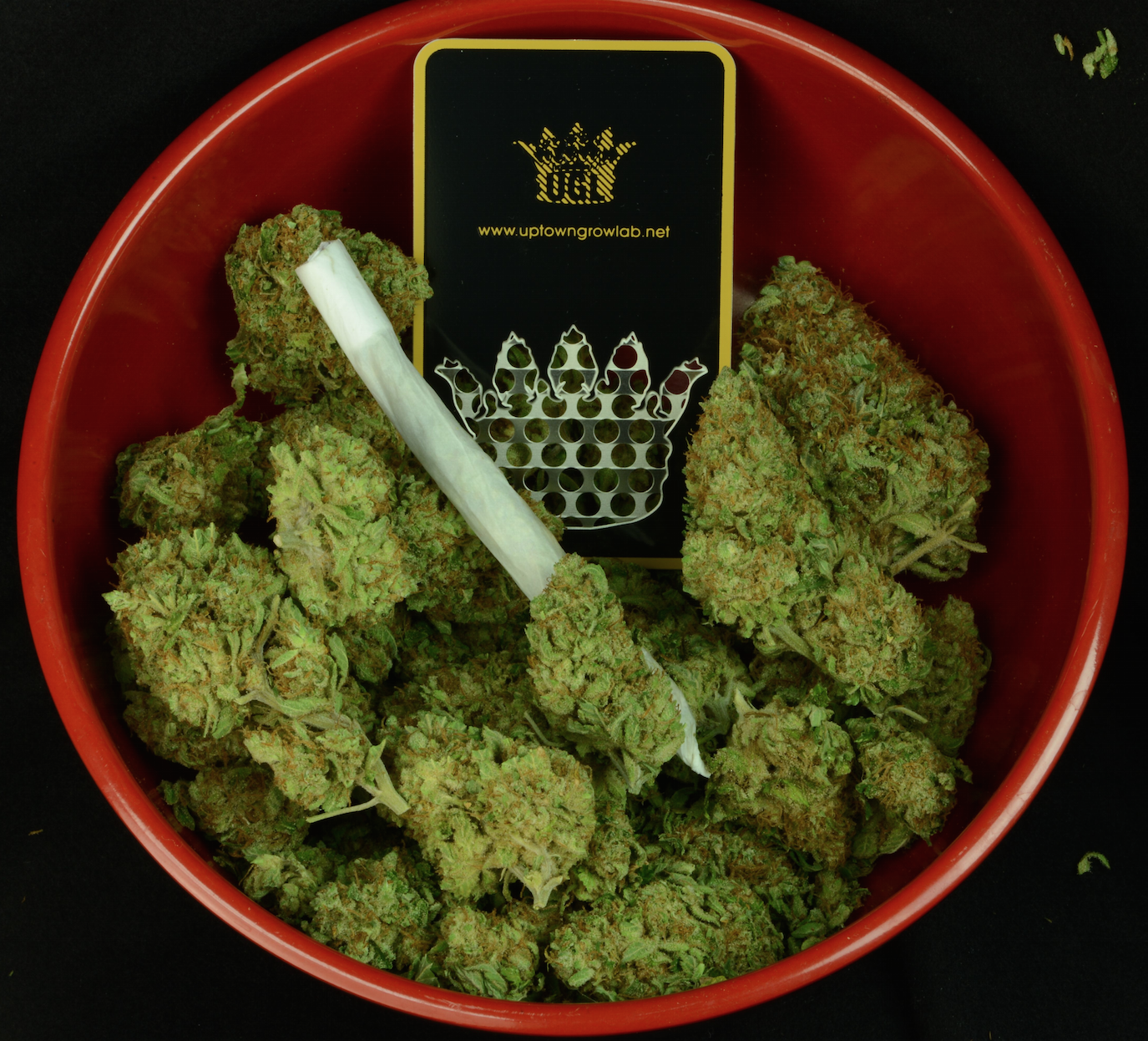 Chronic and a Grinder Card
