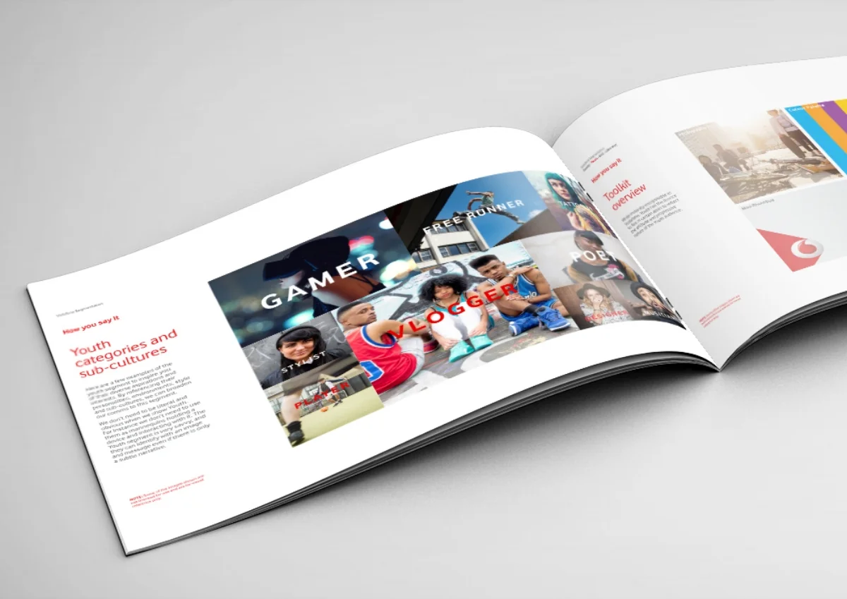 VF-Brochure-DPS1.jpg