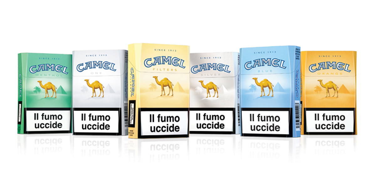 Camel-group-web1.jpg