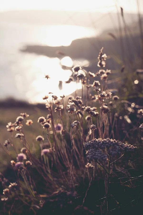 lake_district_photographer14.jpg