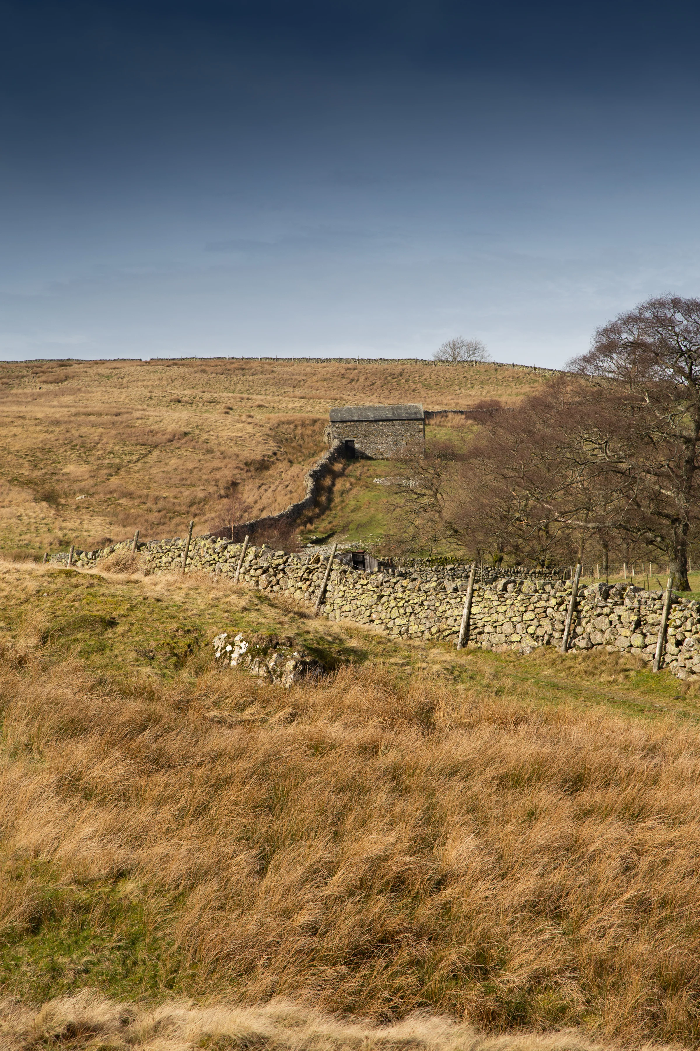 Rushgill-4.jpg