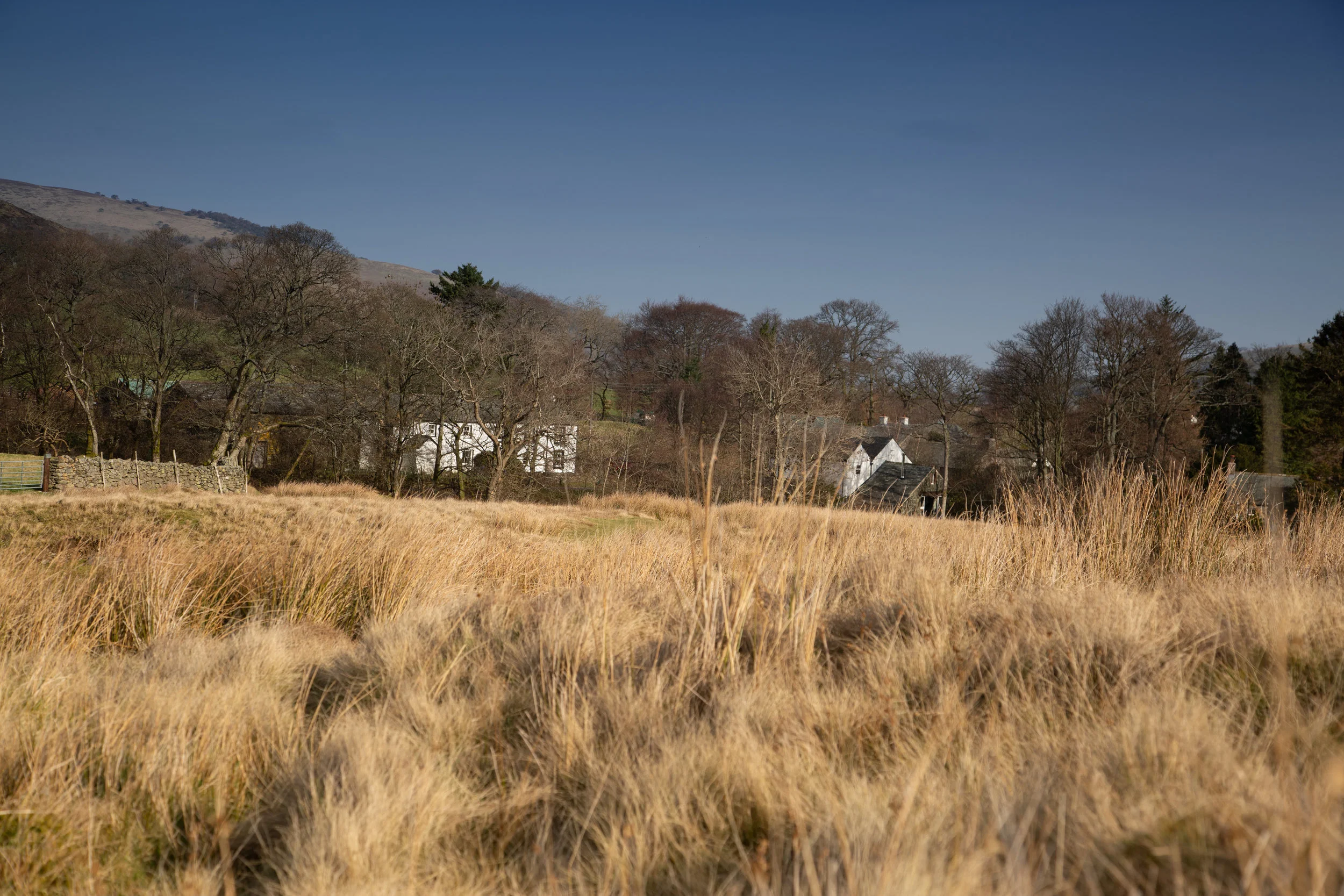 Rushgill-6.jpg
