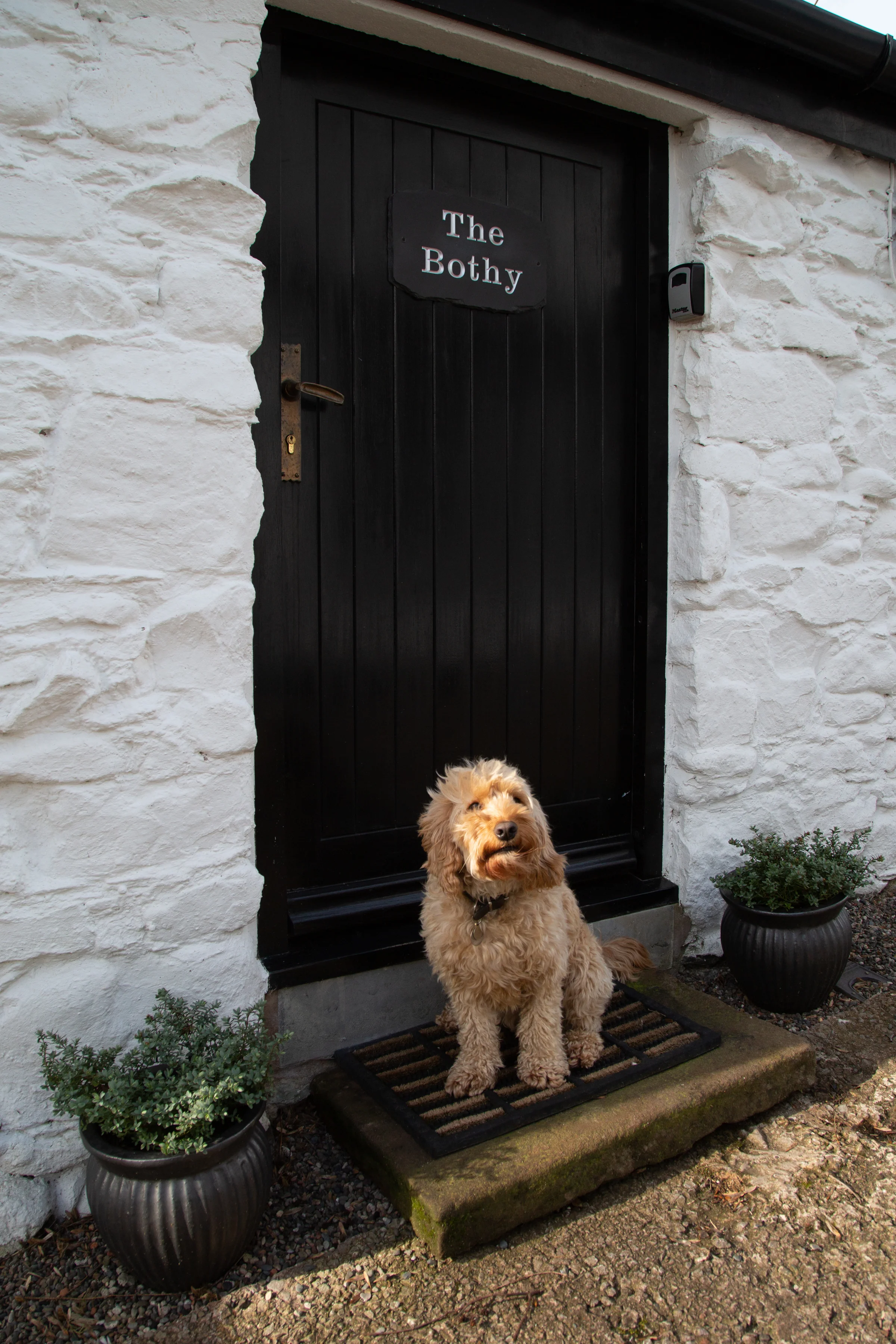 The Bothy dates from the late 1700s when the original house was constructed. We renovated the bothy, and the house, in 2016. It is situated next to Aira Beck with walks onto the fells, down to the beautiful Aira Force and Ullswater straight from your door. It's the perfect romantic weekend hideaway but just 3 minutes stroll to the local pub!
