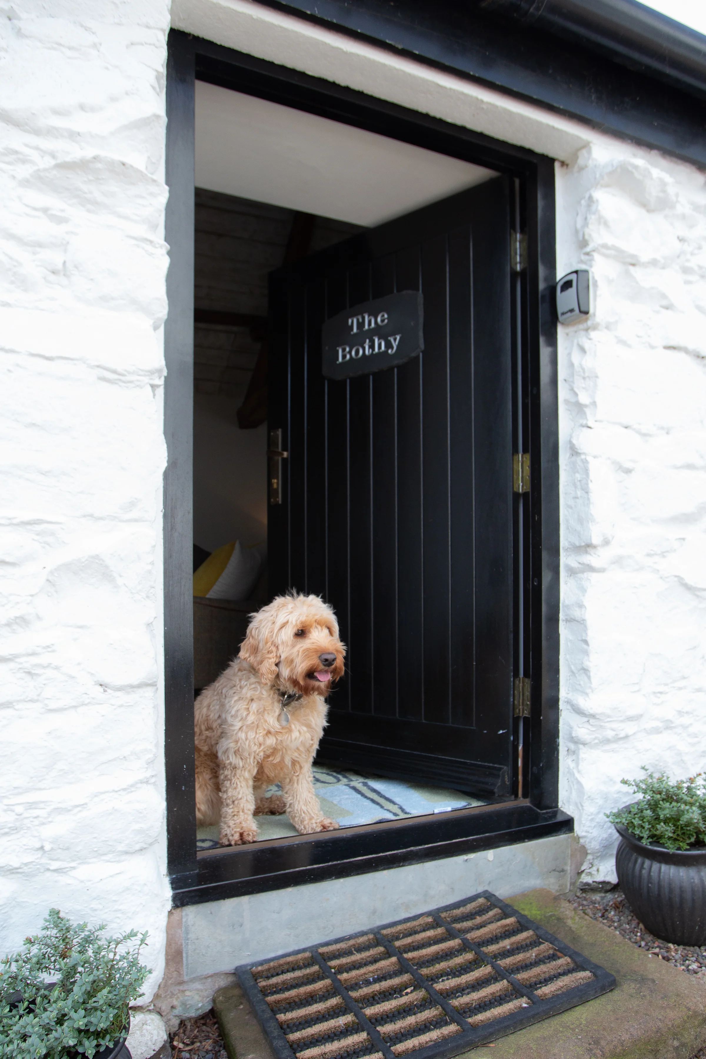 The Bothy dates from the late 1700s when the original house was constructed. We renovated the bothy, and the house, in 2016. It is situated next to Aira Beck with walks onto the fells, down to the beautiful Aira Force and Ullswater straight from your door. It's the perfect romantic weekend hideaway but just 3 minutes stroll to the local pub!