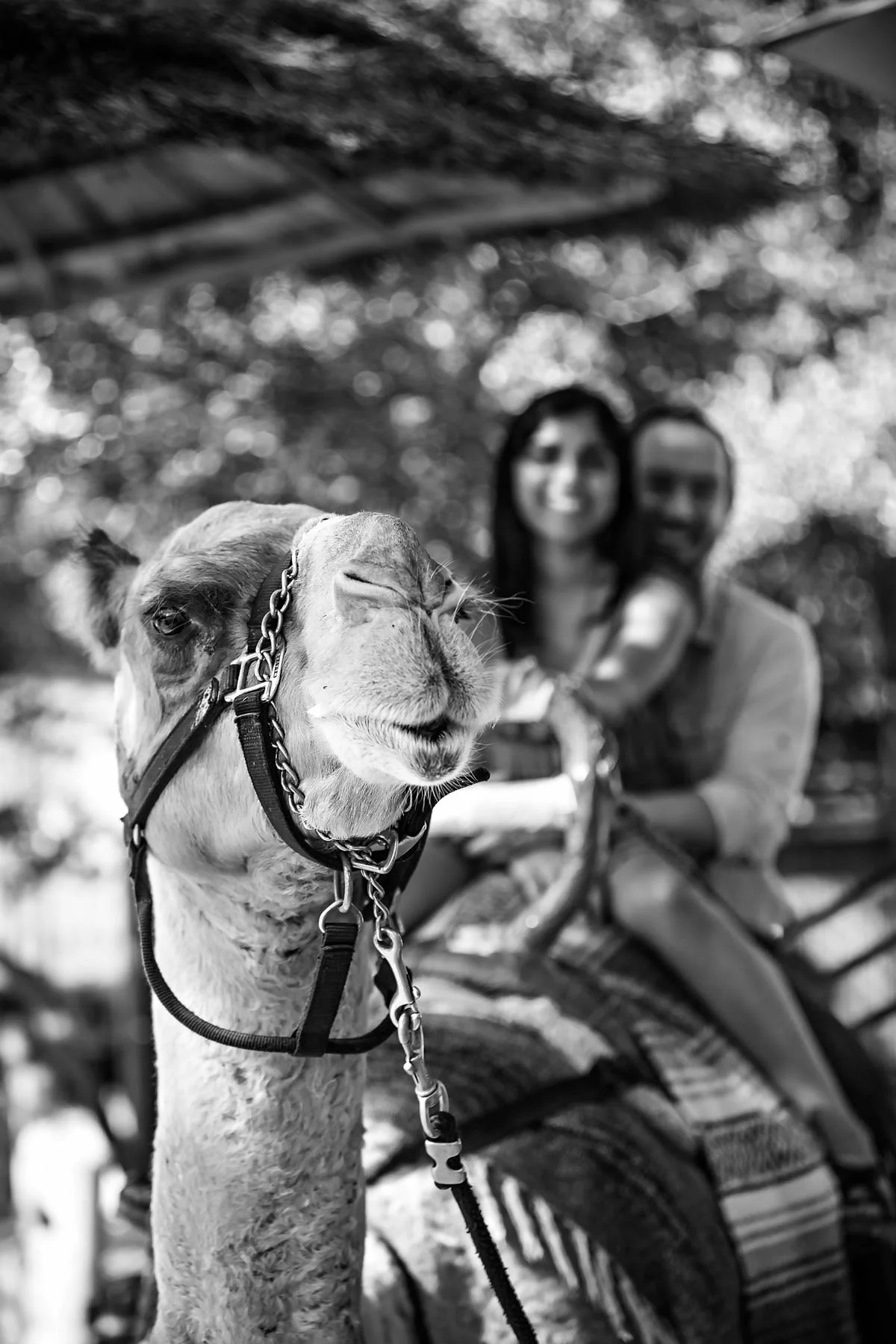 Niva and Brandon-011.jpg