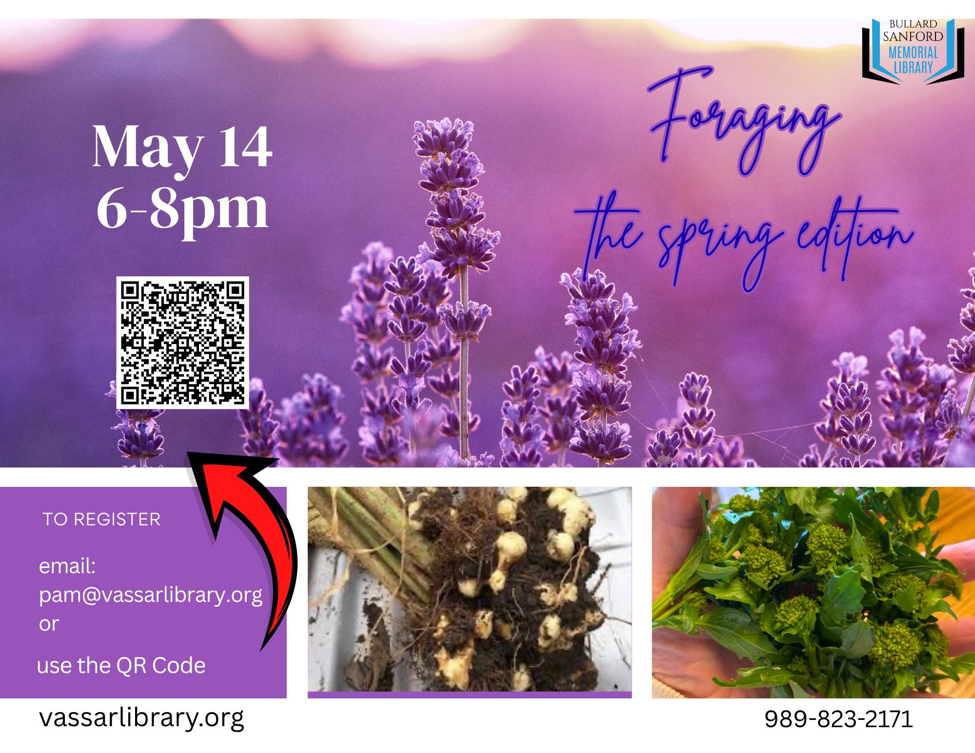 Foraging: The Spring Edition