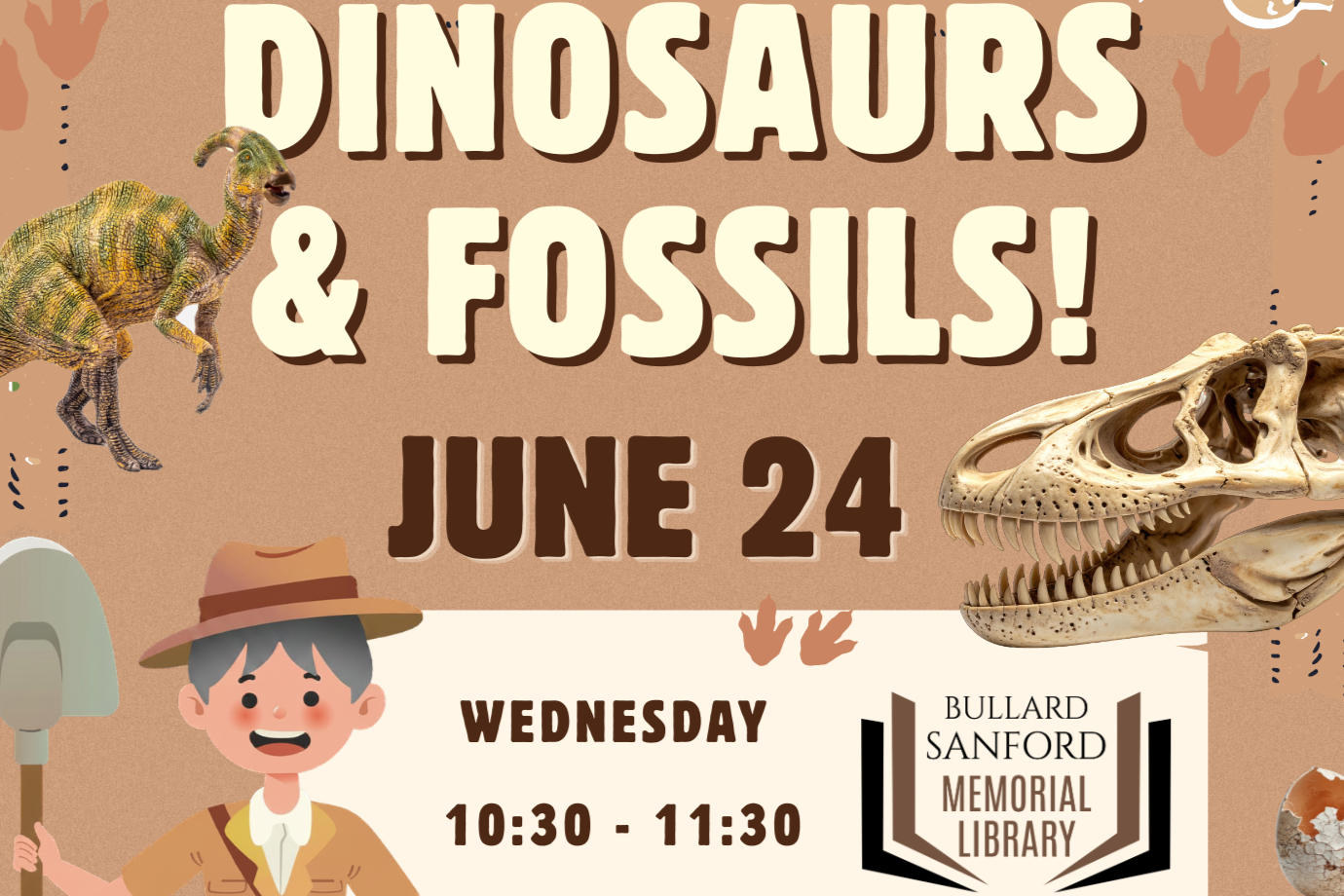 Dinosaurs and Fossils!