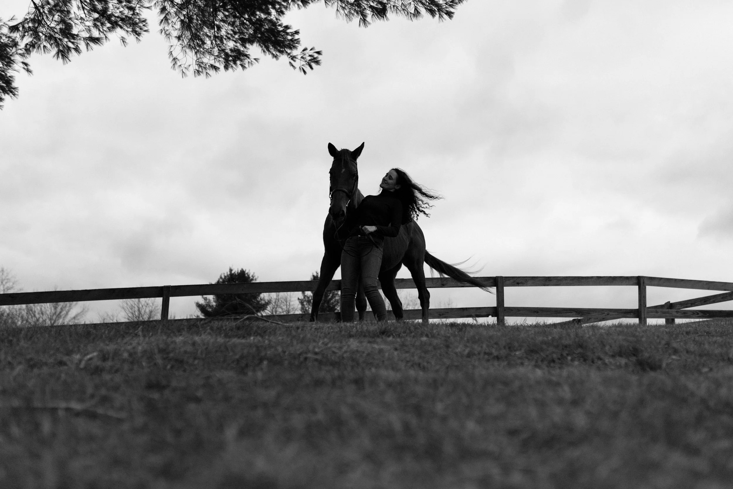 DSC_7664.jpg