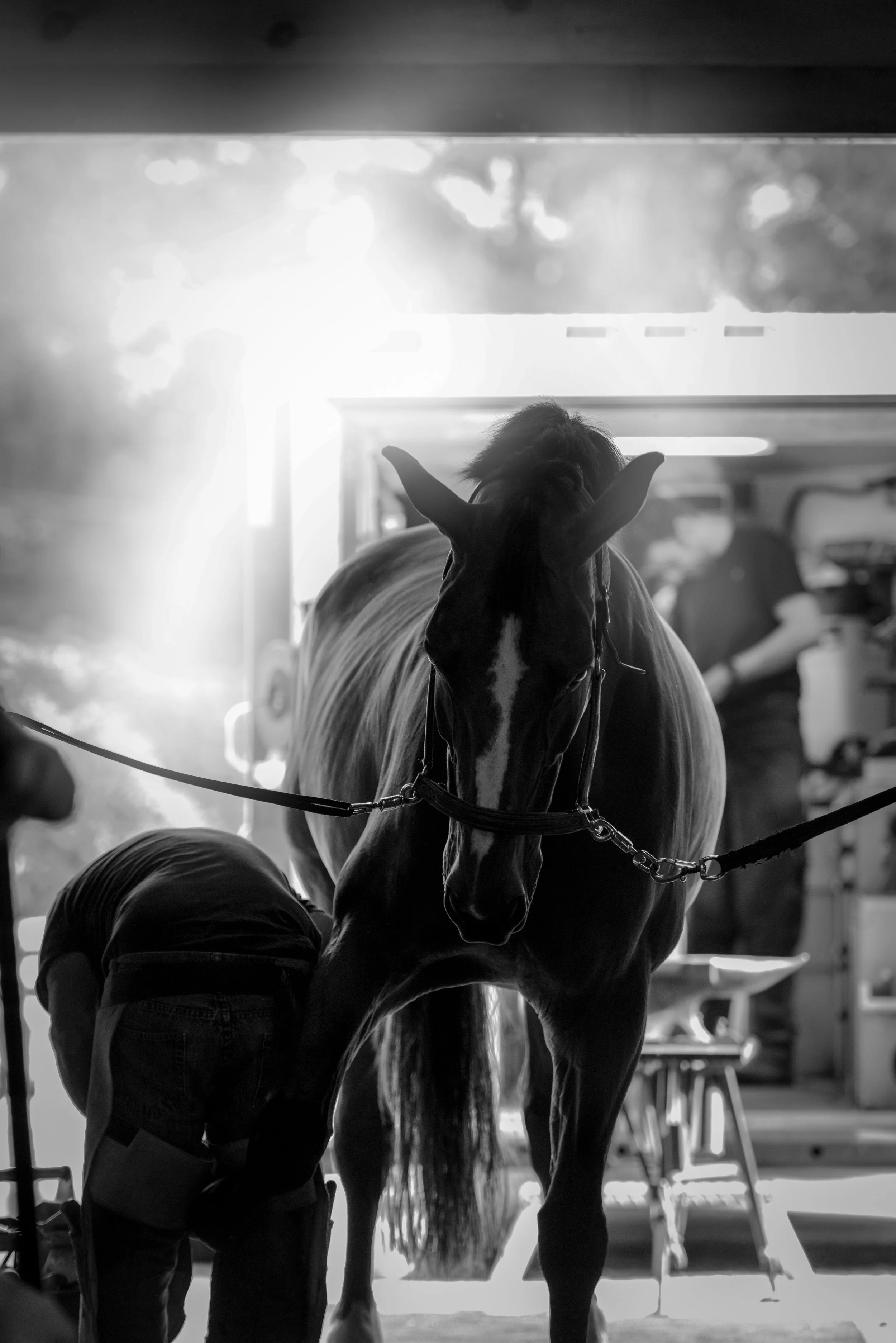 DSC_0630-2.jpg