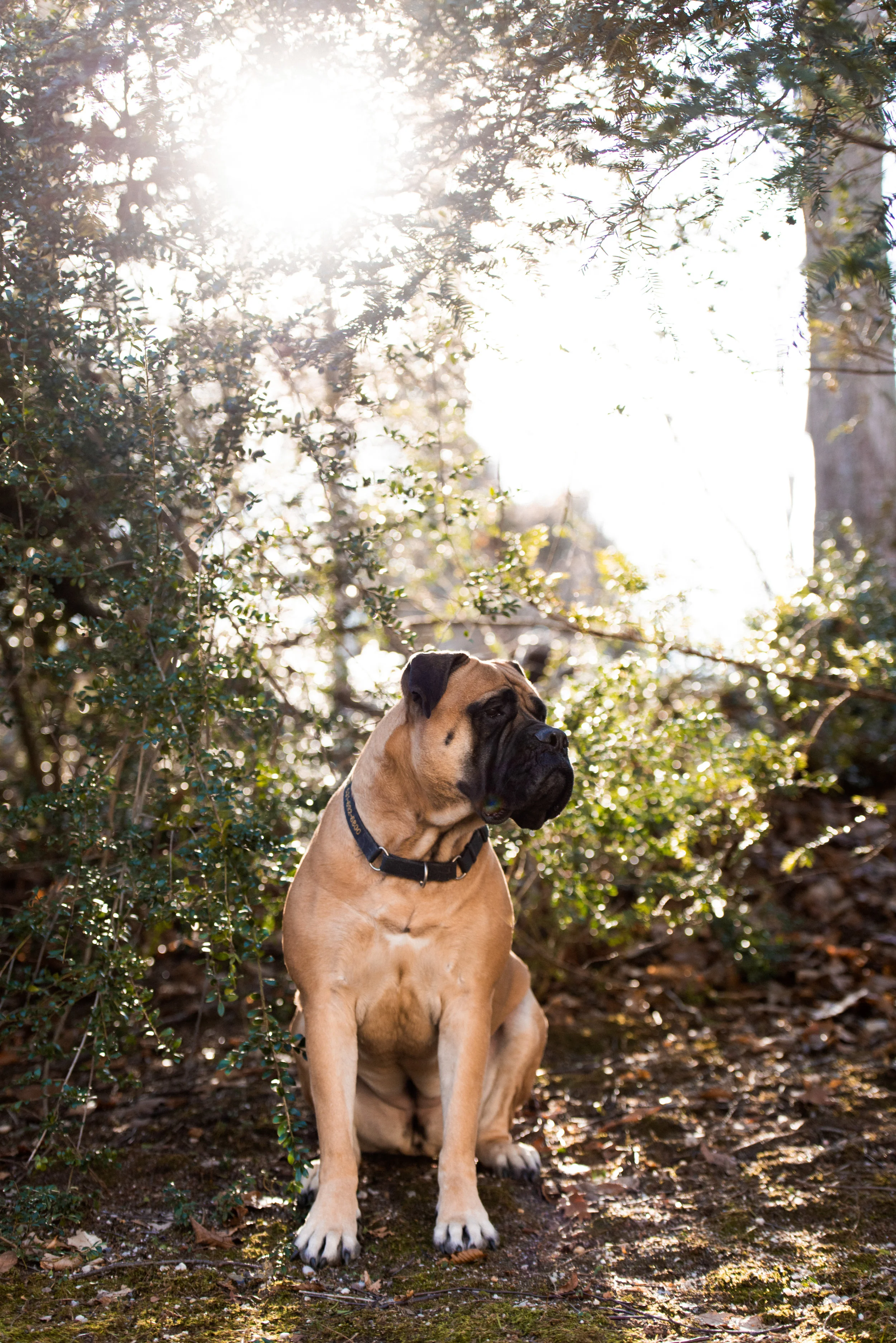 DSC_1126.jpg