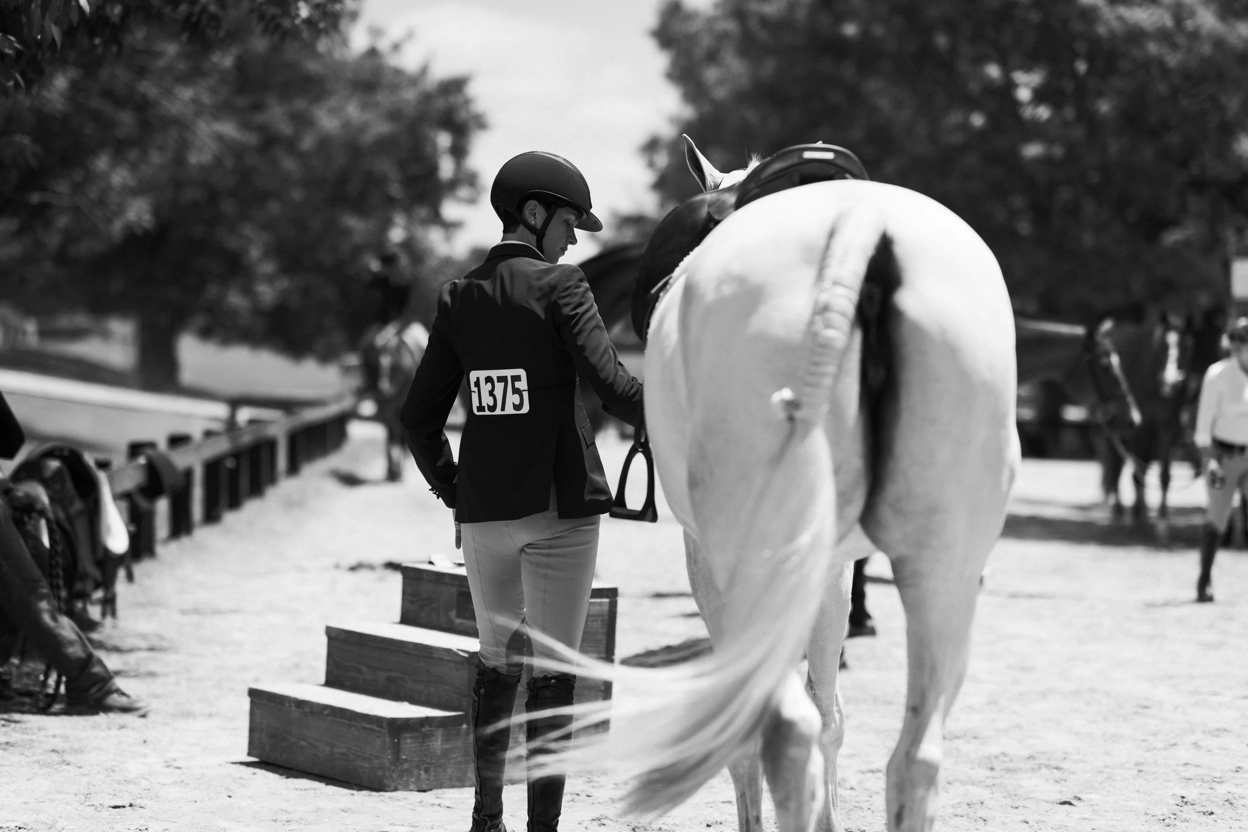 kentuckyshow-2.jpg