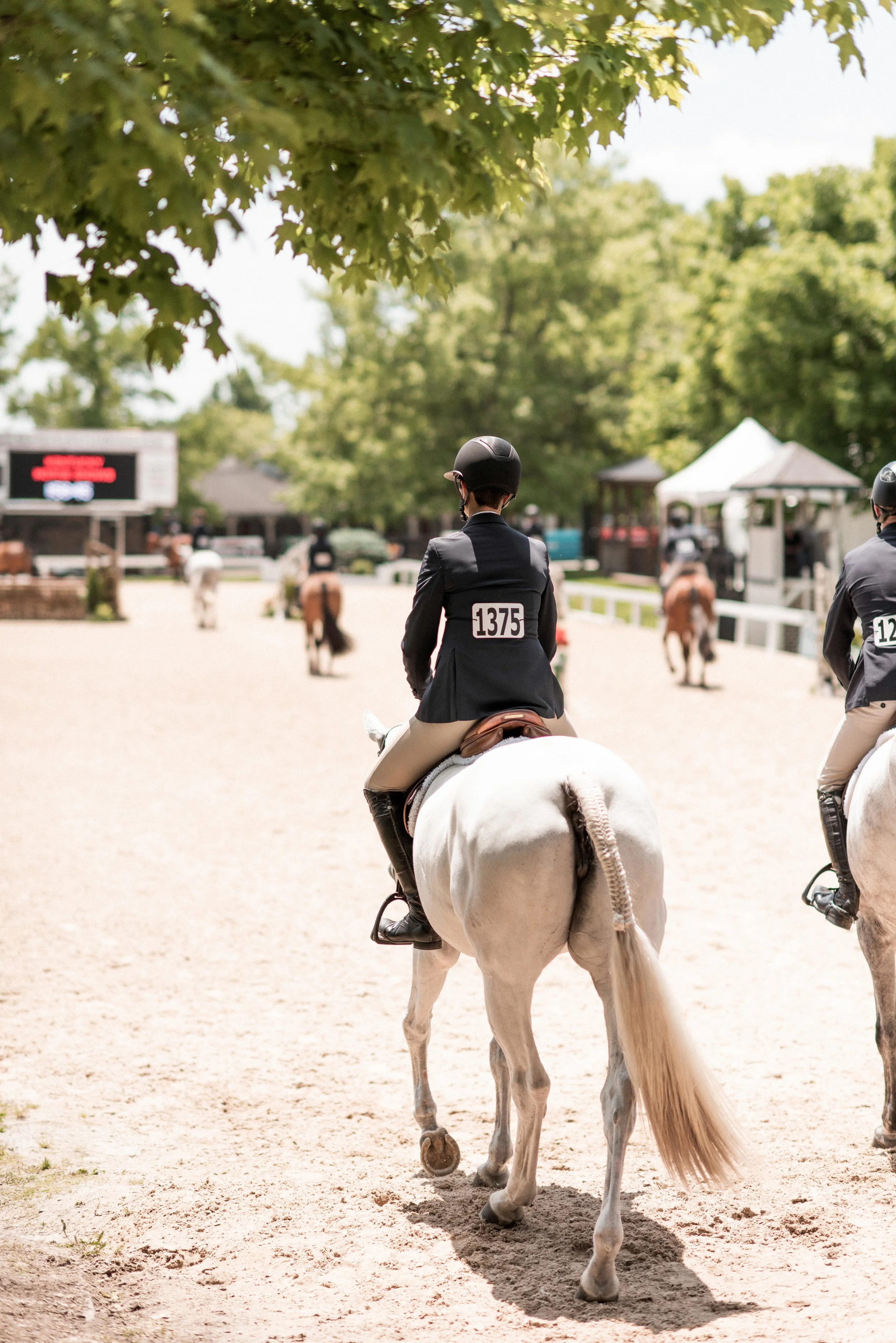 kentuckyshow-4.jpg