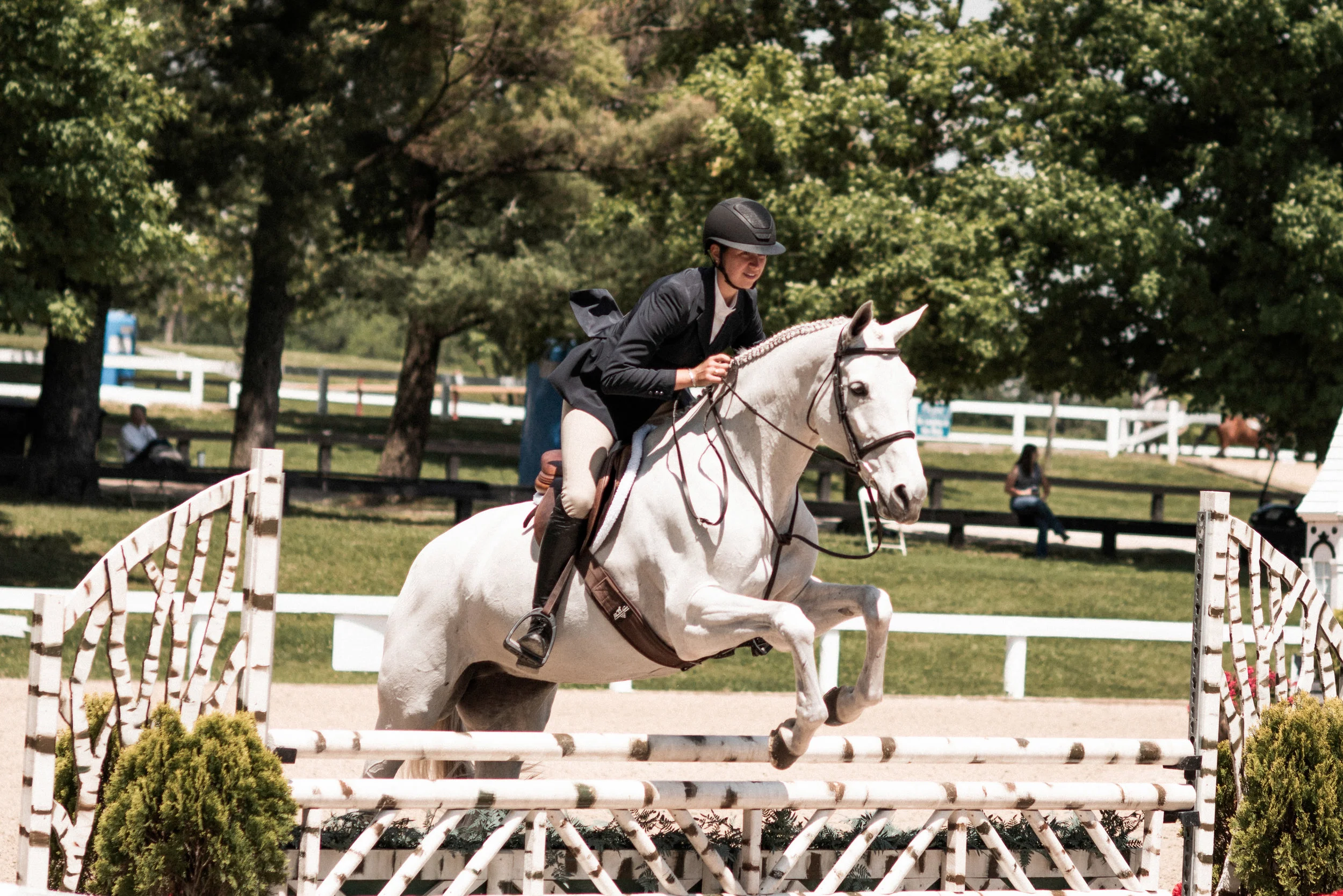 kentuckyshow-9.jpg