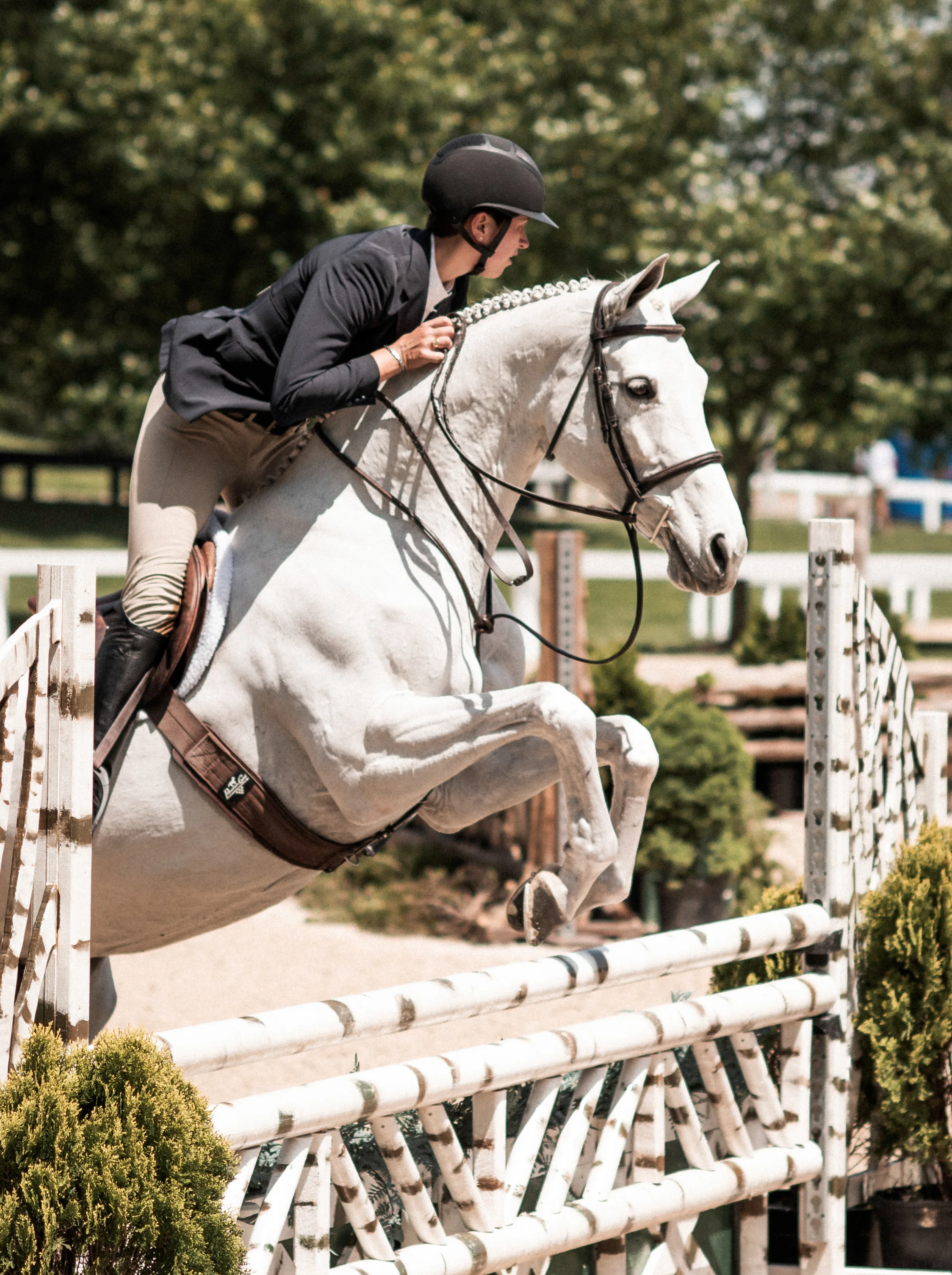 kentuckyshow-11.jpg
