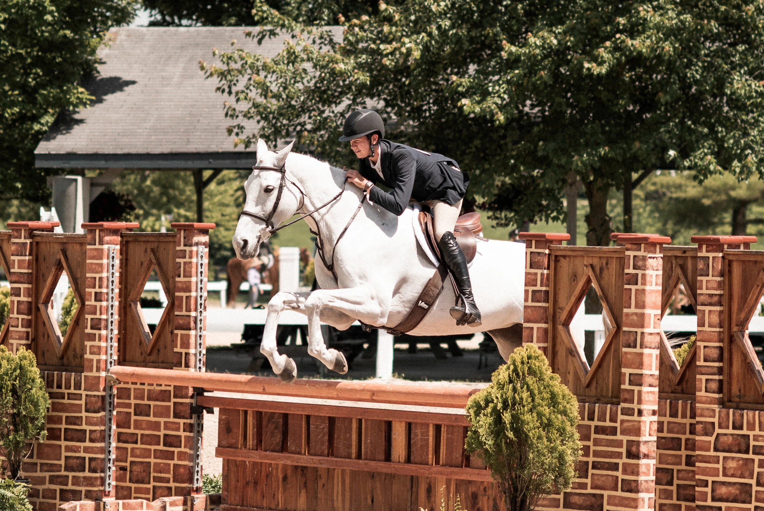 kentuckyshow-12.jpg