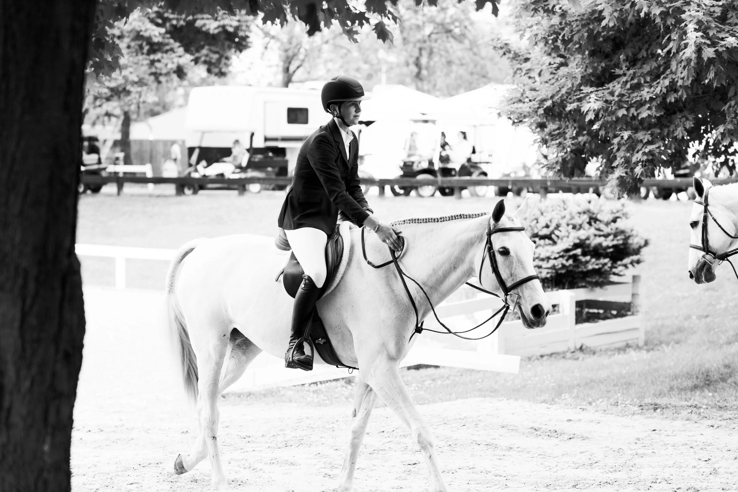 kentuckyshow-18.jpg