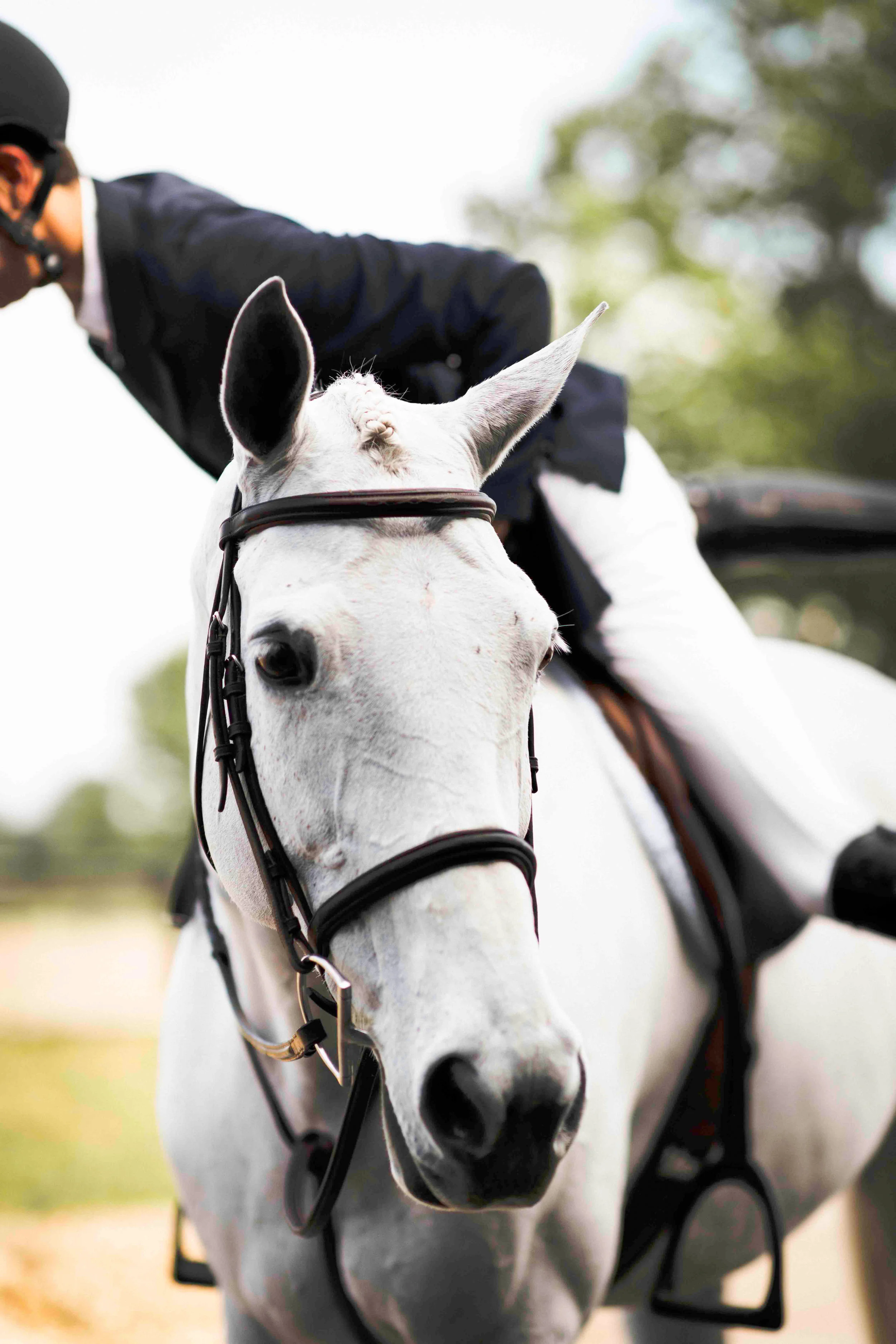 kentuckyshow-25.jpg